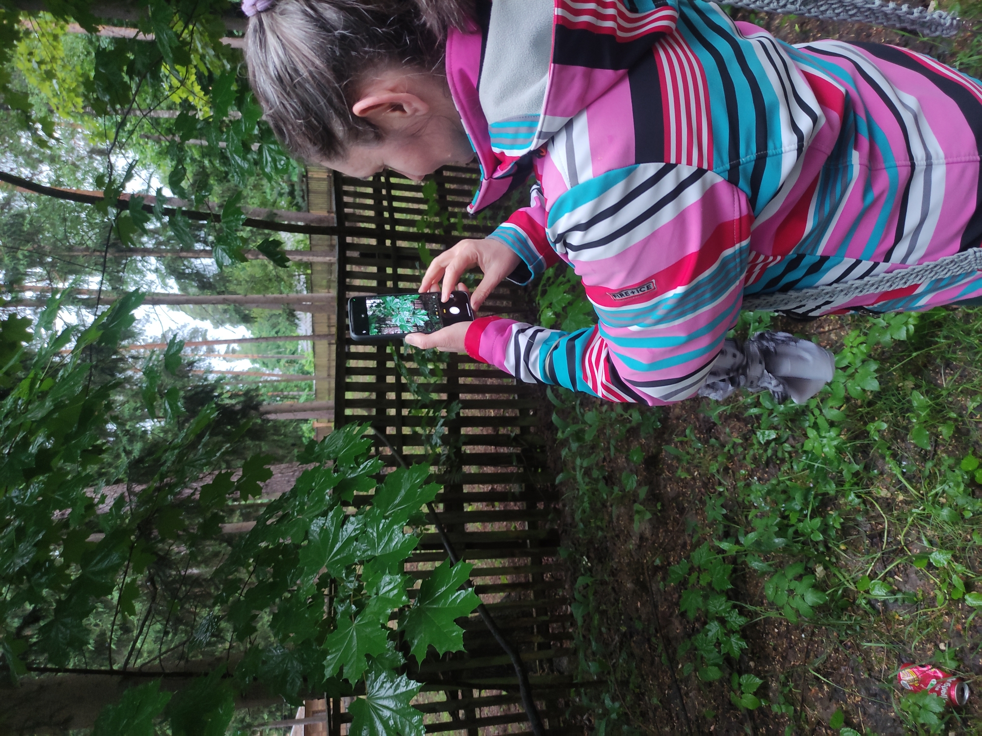 A woman with gray hair, wearing a colorful striped jacket, is holding a smartphone in her hands, taking a photograph. The subject she is photographing appears to be green foliage in front of a wooden fence. The scene takes place in a wooded area, with additional trees and greenery visible in the background. The ground is covered in dirt and vegetation. An empty drink can sits in the lower right-hand corner of the image. There is no specific information in the image to determine if this is Kratovo, Russia.