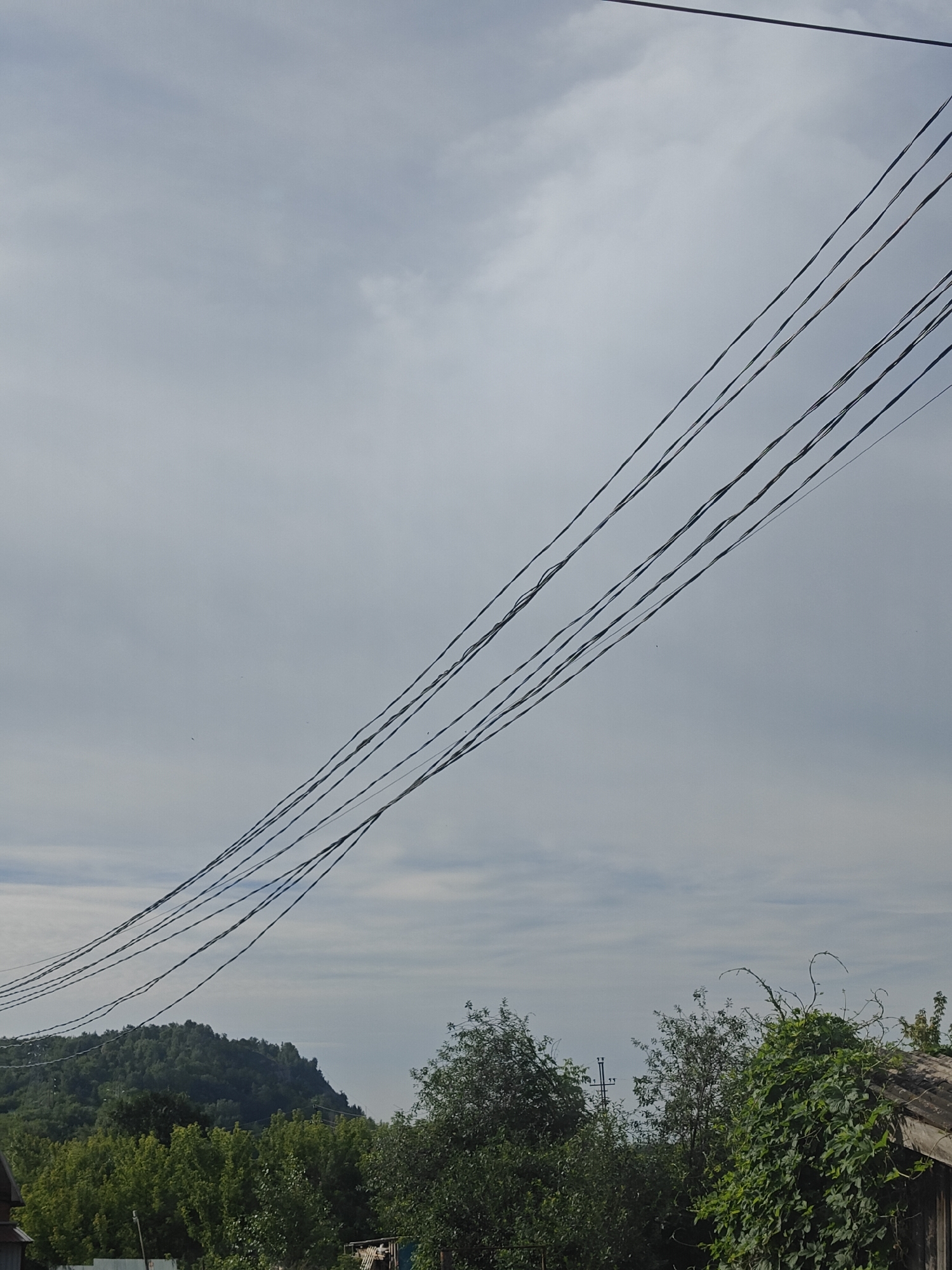 The image depicts an outdoor scene with a cloudy sky. A series of power lines are strung across the upper portion of the frame, stretching from the left towards the right. Below the power lines, a landscape of lush green trees and vegetation is visible. In the foreground, a portion of a rustic wooden structure with a corrugated roof is present on the right side of the image, partially obscured by overgrown vines. A hill covered in trees forms the backdrop on the left. The scene appears to be a rural or semi-rural environment, possibly a backyard or a village setting. There are no people or animals visible in the image.