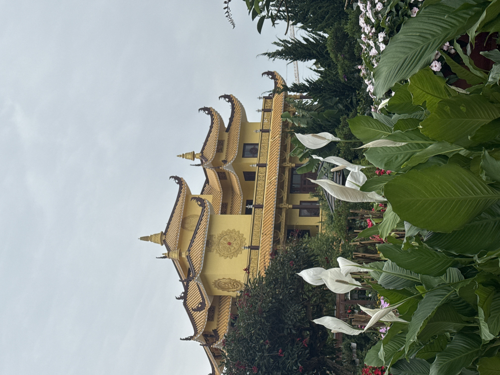The image depicts a building, possibly a temple or pagoda, with traditional East Asian architecture located in Da Lat, Vietnam. The building is multi-tiered, colored a golden yellow, and adorned with intricate roof ornamentation. A construction crane is visible behind the temple. The structure is framed by lush greenery, including large-leafed plants with white flowers in the foreground. The sky is overcast.