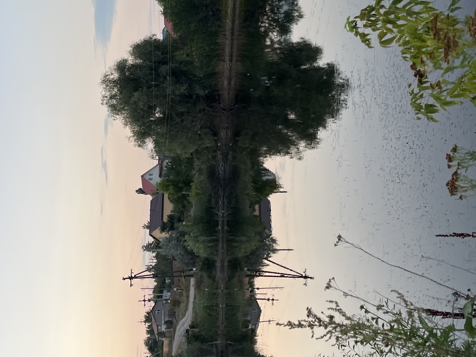 The image depicts a tranquil scene at dusk, likely near the Saratov reservoir on the Volga River in Saratov, Russia. In the background, a small village is visible with several houses, some with red roofs, nestled amongst trees. A dirt road winds through the village, and prominent power lines and utility poles stand tall against the pale, pastel-colored sky. The foreground is dominated by a calm body of water, reflecting the sky and the structures along the shoreline. Aquatic plants and tall grasses grow along the water's edge, some of which are also reflected in the water. The overall atmosphere is peaceful and serene, indicative of early evening in a rural or semi-rural setting. No people or animals are clearly discernible in the image.