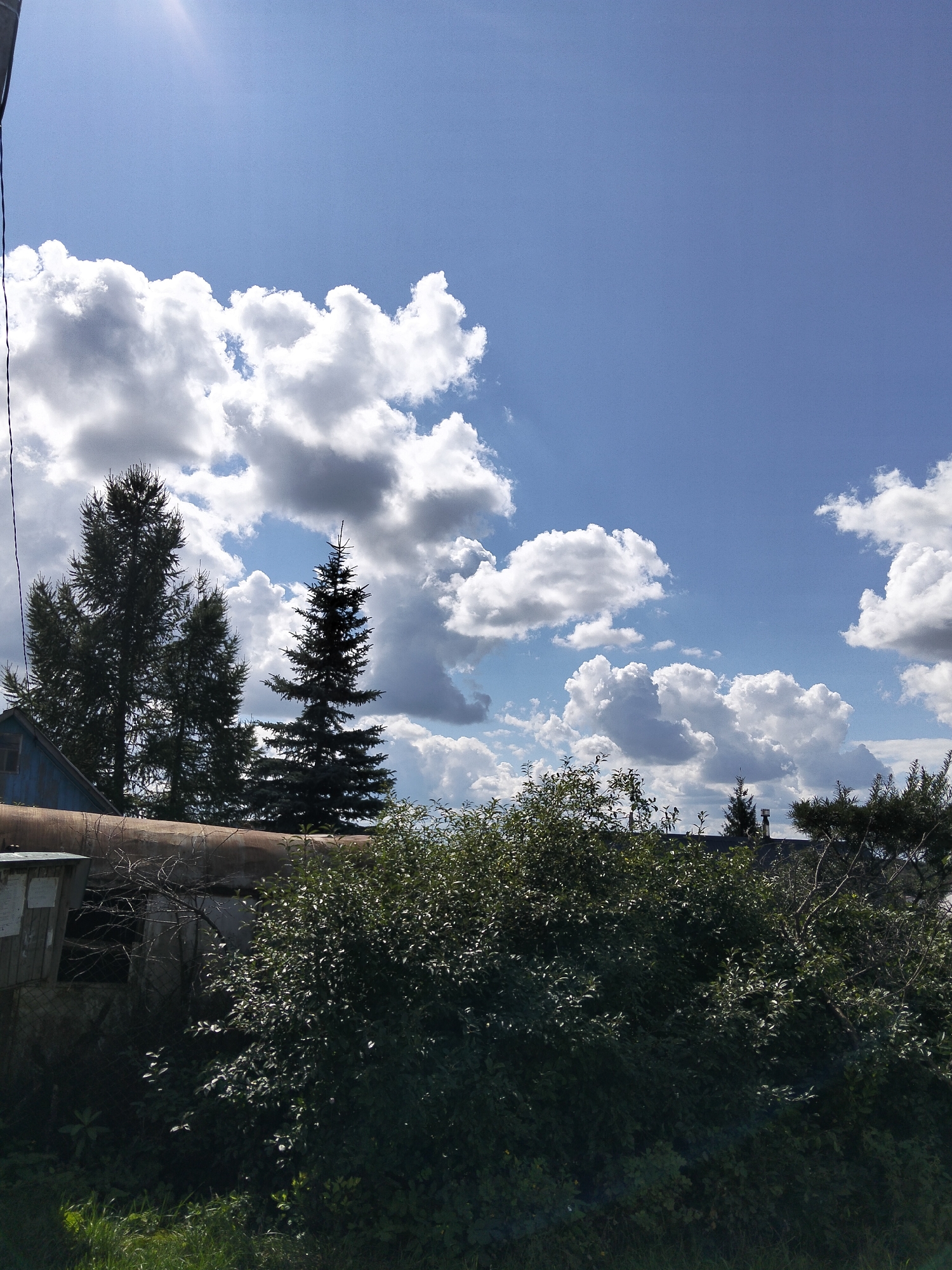A scene in Oktyabrsky, Russia, depicts a bright, sunny day with a clear blue sky filled with fluffy white clouds. The sun is visible in the upper left corner, casting a bright light. In the foreground, a dense green bush with lush foliage dominates the lower half of the image. Behind the bush, a section of a rusty, cylindrical structure is visible, possibly a pipe or silo. To the left of this structure, a weathered blue building with a sloped roof and a window is partially obscured. Several evergreen trees, including two tall, dark green fir trees and a lighter green, broader tree, stand behind the structures. The ground in the lower left corner is covered in green grass.