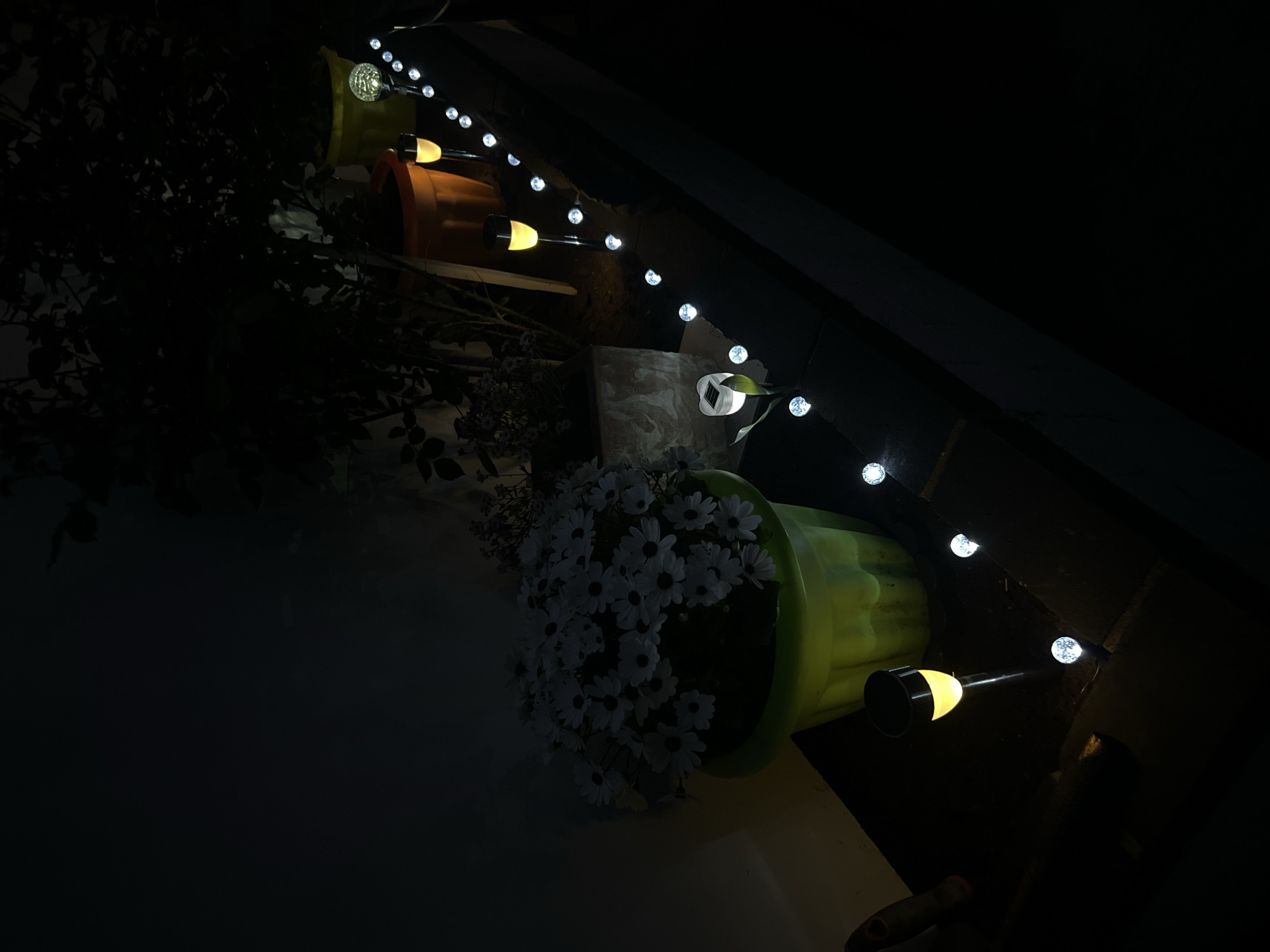 The image shows a dimly lit outdoor setting, possibly at night in Gorleston-on-Sea, United Kingdom. The scene features a series of potted plants, including one with white daisy-like flowers, arranged along a ledge. A string of spherical lights with bulb-shaped elements interspersed is draped above the plants, providing the primary source of illumination. The background is dark, suggesting a roof or overhanging structure above. The overall atmosphere is subdued and tranquil.