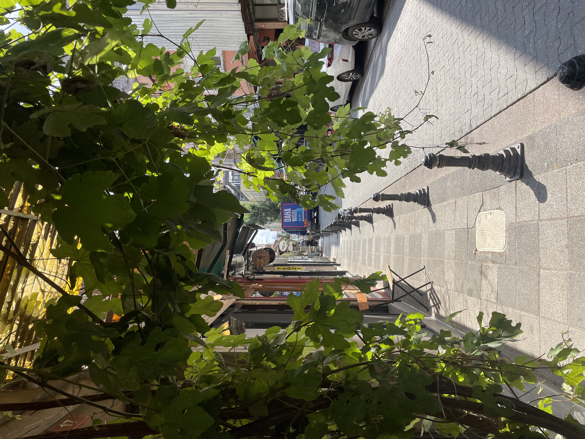 The image shows a sun-dappled sidewalk and street scene in Kadıköy, Turkey. Lush green vines hang overhead, partially obscuring the view of storefronts and the street. The sidewalk is paved with square tiles, and a metal chair and small table sit outside one of the establishments. A row of decorative black bollards lines the edge of the sidewalk, separating it from the cobblestone street. Parked cars, including a white sedan and a dark SUV, are visible on the street, along with a blue truck in the distance. The buildings along the street appear to be commercial, with awnings and signs indicating businesses. The overall impression is one of a vibrant, sunny day on a bustling city street, with a touch of natural beauty from the overhanging foliage.
