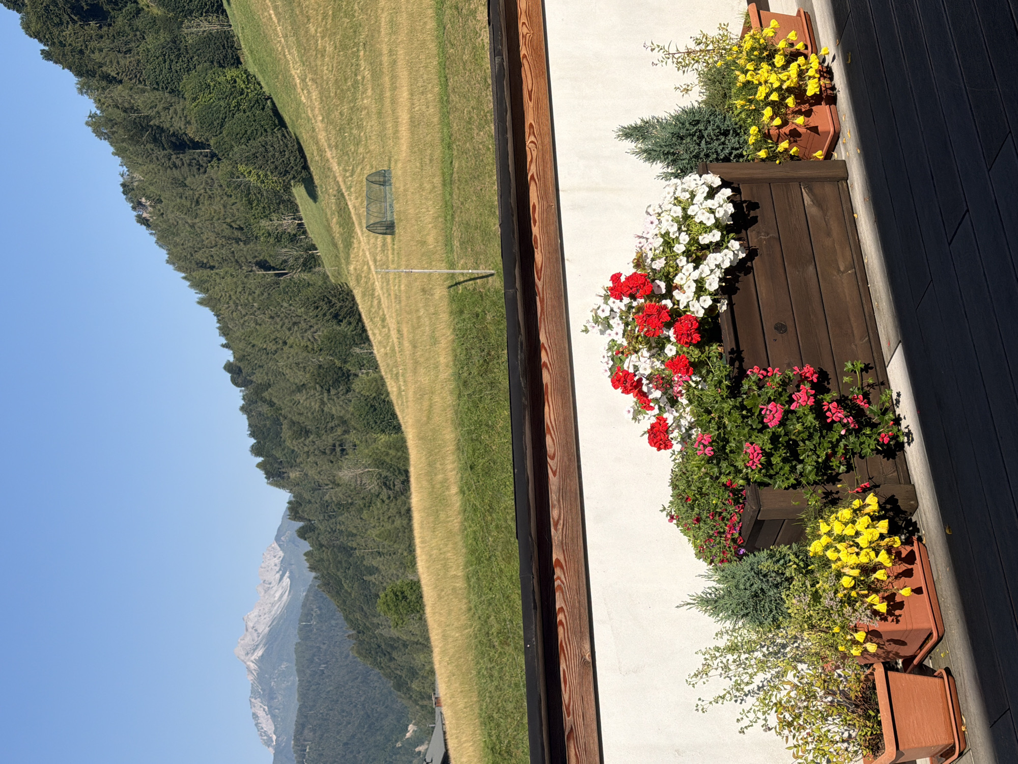 This image depicts a scenic view from a terrace overlooking a mountainous landscape. In the foreground, there are several potted plants, including a large wooden planter filled with red and white flowers, and other smaller terracotta pots containing yellow and green foliage. A white wall and a wooden railing form the immediate boundary of the terrace.
The mid-ground features a sloped grassy field, with patches of dry golden grass and some green cultivated areas. In the distance, a small green greenhouse structure is visible on the hillside.
The background showcases a lush green forest that covers a steep mountain slope. Further in the distance, imposing mountain peaks with rocky outcrops and snow-capped summits rise against a clear blue sky. The overall scene suggests a rural or mountainous setting, likely in the Italian Alps, given the mention of Sauris / Zahre, Italy. There are no people visible in the image.