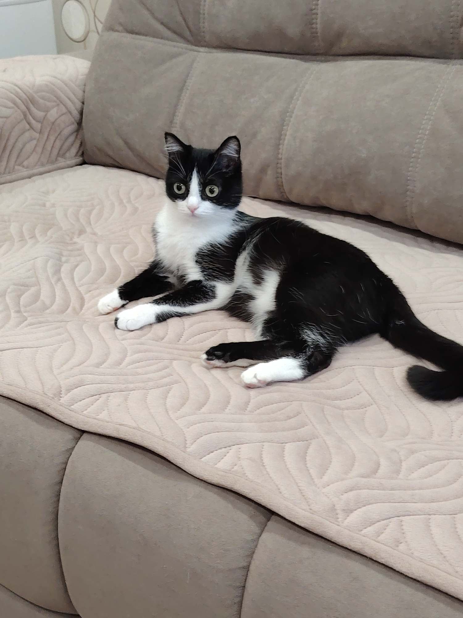 A black and white cat is lying on a light beige quilted couch. The cat is facing towards the left of the image, with its front paws crossed. Its eyes are open and looking forward. The couch is situated in an indoor setting, likely a living room. The background shows the back cushions of the couch and a portion of a wall with a circular design.
