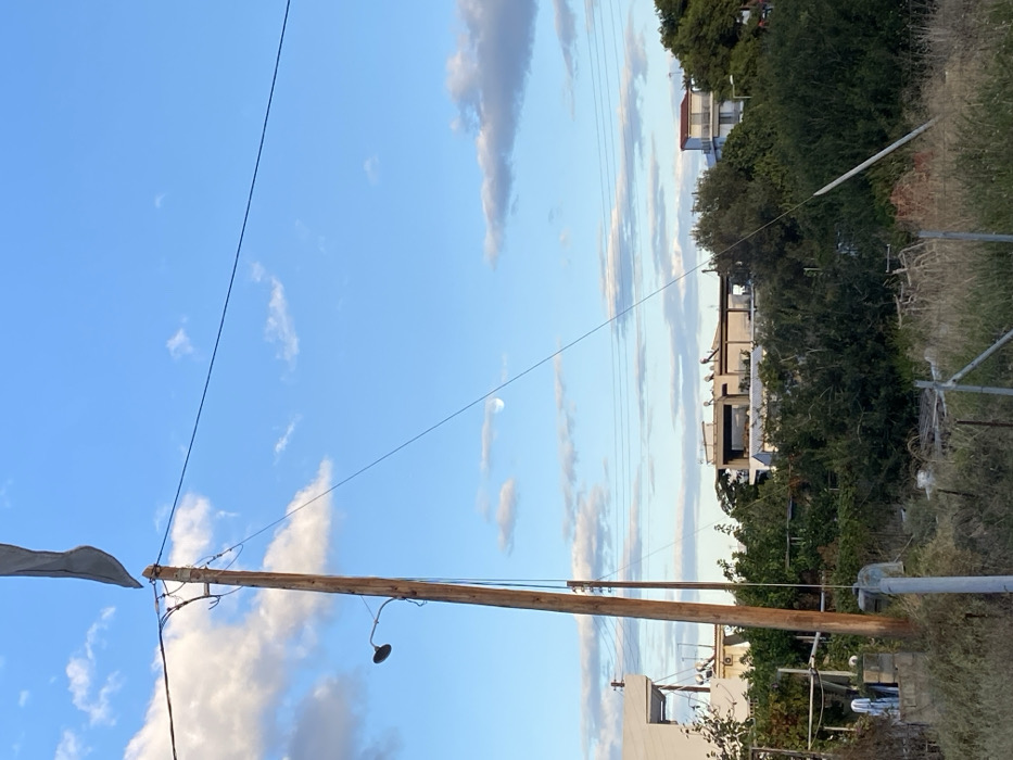 The image captures a late afternoon scene in a residential or semi-rural area of Skala, Greece. The sky is largely clear blue with scattered white and light grey cumulus clouds. A crescent moon is distinctly visible in the upper right quadrant.
In the foreground and left midground, a tall, weathered wooden utility pole rises prominently, extending beyond the top frame. Attached to its upper section is a dark, curved street light fixture. Multiple black utility wires extend from this pole, traversing horizontally and diagonally across the scene. A light-colored, possibly fabric object, resembling a torn flag or banner, is affixed to the very top of the pole. The immediate foreground consists of dry, overgrown grass and weeds, with partial views of metal fencing or posts. A slender white pole or stake leans diagonally in the lower right, partially hidden by vegetation.
The midground features dense green foliage, including trees and bushes, which partially obscure structures. In the background, several buildings are visible: a white, multi-story structure with a flat roof is partially seen on the far left. Towards the center-right, a modern building with a wide reflective window and multiple solar water heaters on its flat roof is present. Further to the right and slightly elevated, another white, multi-story building with a reddish-orange tiled roof is visible, partially enshrouded by trees. No individuals or discernible activities are present in the image.