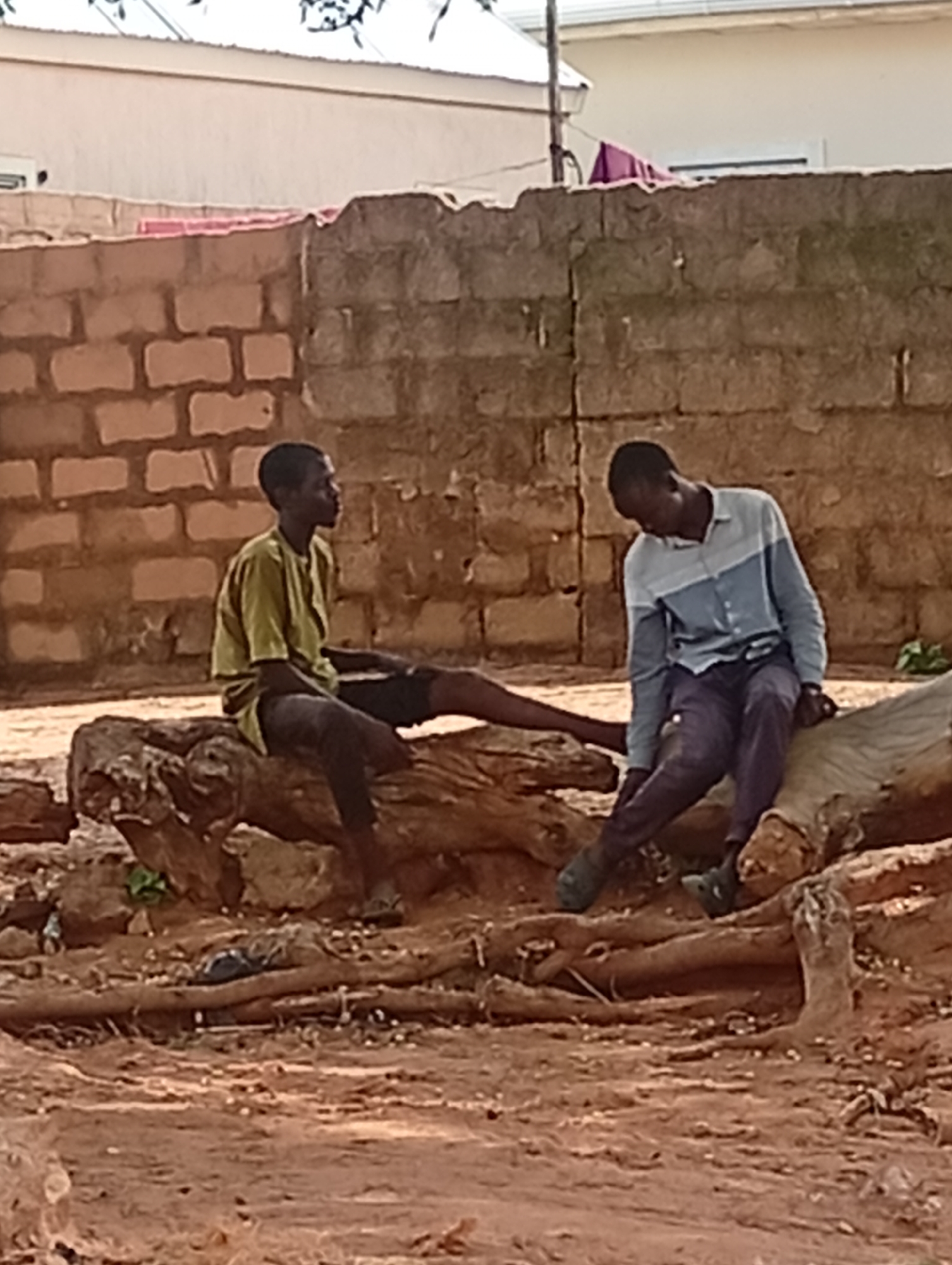 Two young men are seated on large fallen logs in a dirt area in Tumfure, Nigeria. The man on the left wears a short-sleeved olive green shirt and dark shorts, with his legs crossed. The man on the right wears a blue and white collared shirt with dark trousers. Behind them, a rough brick wall runs horizontally, and a building with a white roof is visible in the background. The ground is covered in dirt, with exposed tree roots and scattered debris.