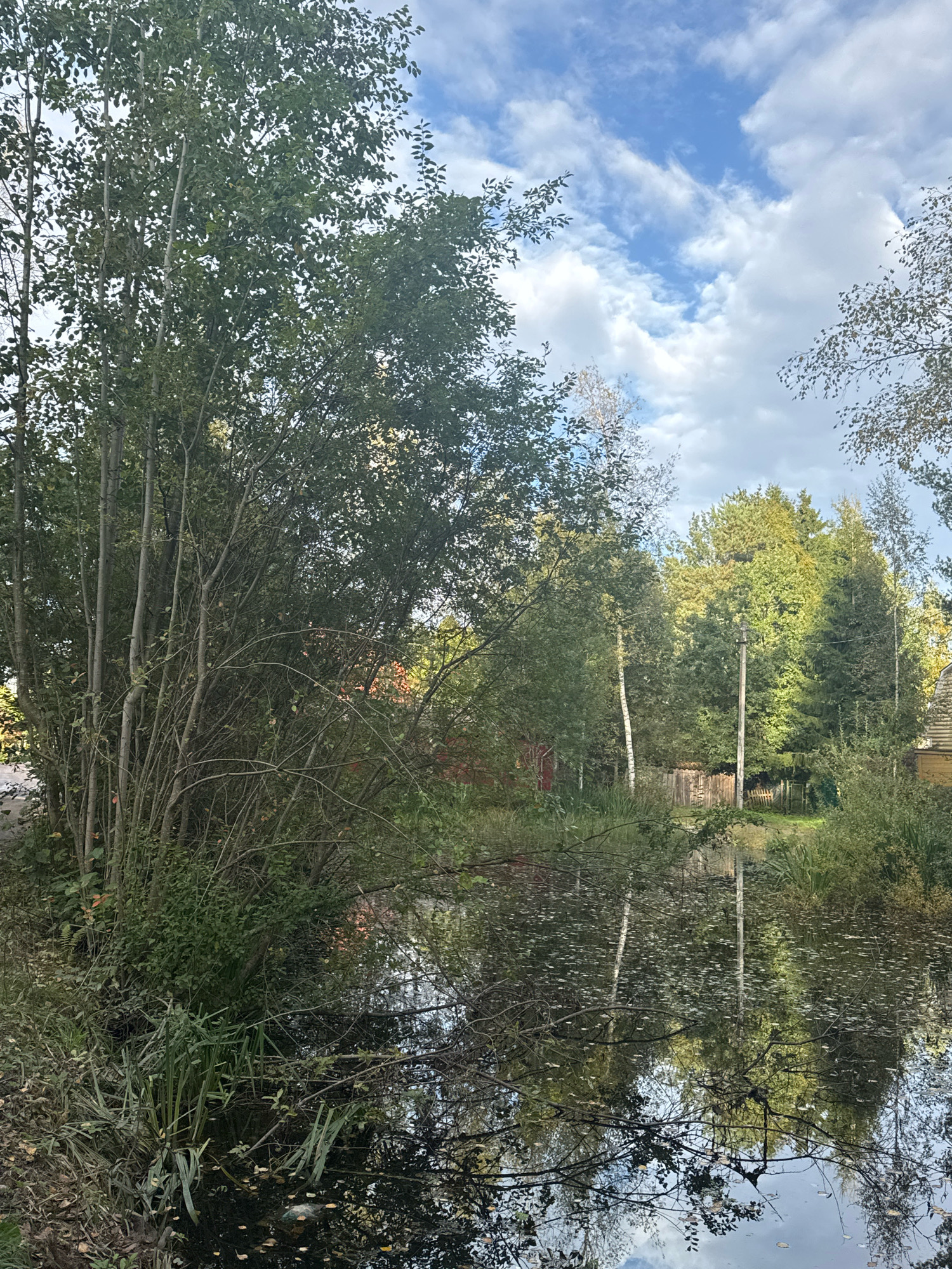 This is a photograph taken in the city of Intourist SNT, Russia, depicting a natural scene. The foreground features a body of water with reflections of the surrounding trees and sky. The water's surface is partially covered with fallen leaves. To the left, a dense cluster of trees with thin trunks dominates the scene, their branches reaching upwards. Beyond the water, a wooden fence is visible, separating it from a grassy area and more trees. A utility pole with wires stands prominently in the middle ground. In the background, a yellow building with a peaked roof is partially visible on the right side. The sky above is partly cloudy, with patches of blue visible through the white clouds. The overall impression is one of a tranquil, natural environment.