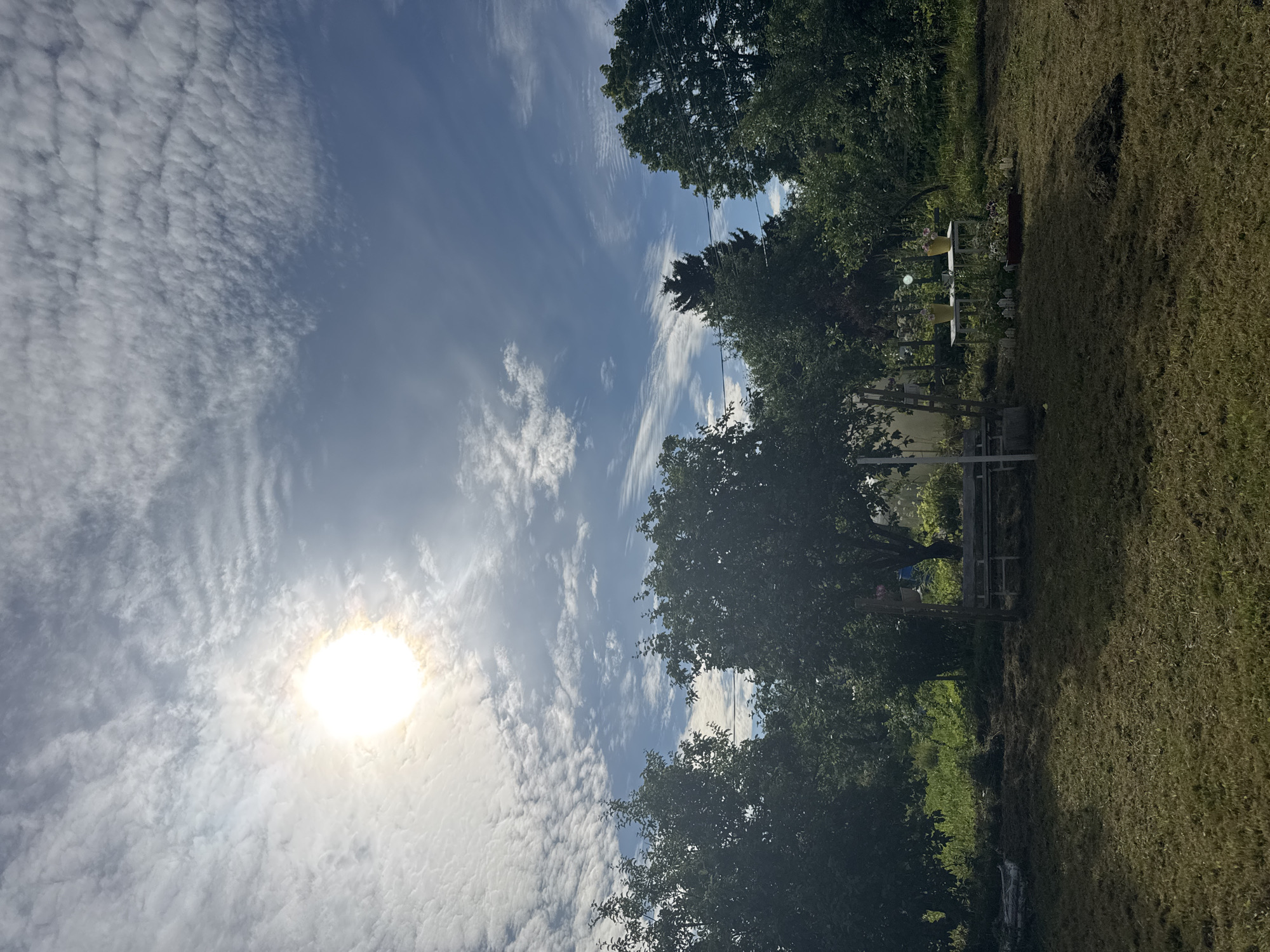 The image depicts an outdoor scene, likely a backyard in Kuti, Russia. The sky is bright blue with scattered white clouds and a prominent sun, casting a bright light. In the foreground, a mown lawn shows patches of cut grass. Towards the middle ground, a wooden bench sits near some trees. Further back, there are more trees and vegetation, suggesting a garden or natural setting. Two yellow potted plants are visible on a table in the background. The overall impression is of a sunny day in a rural or suburban area.
