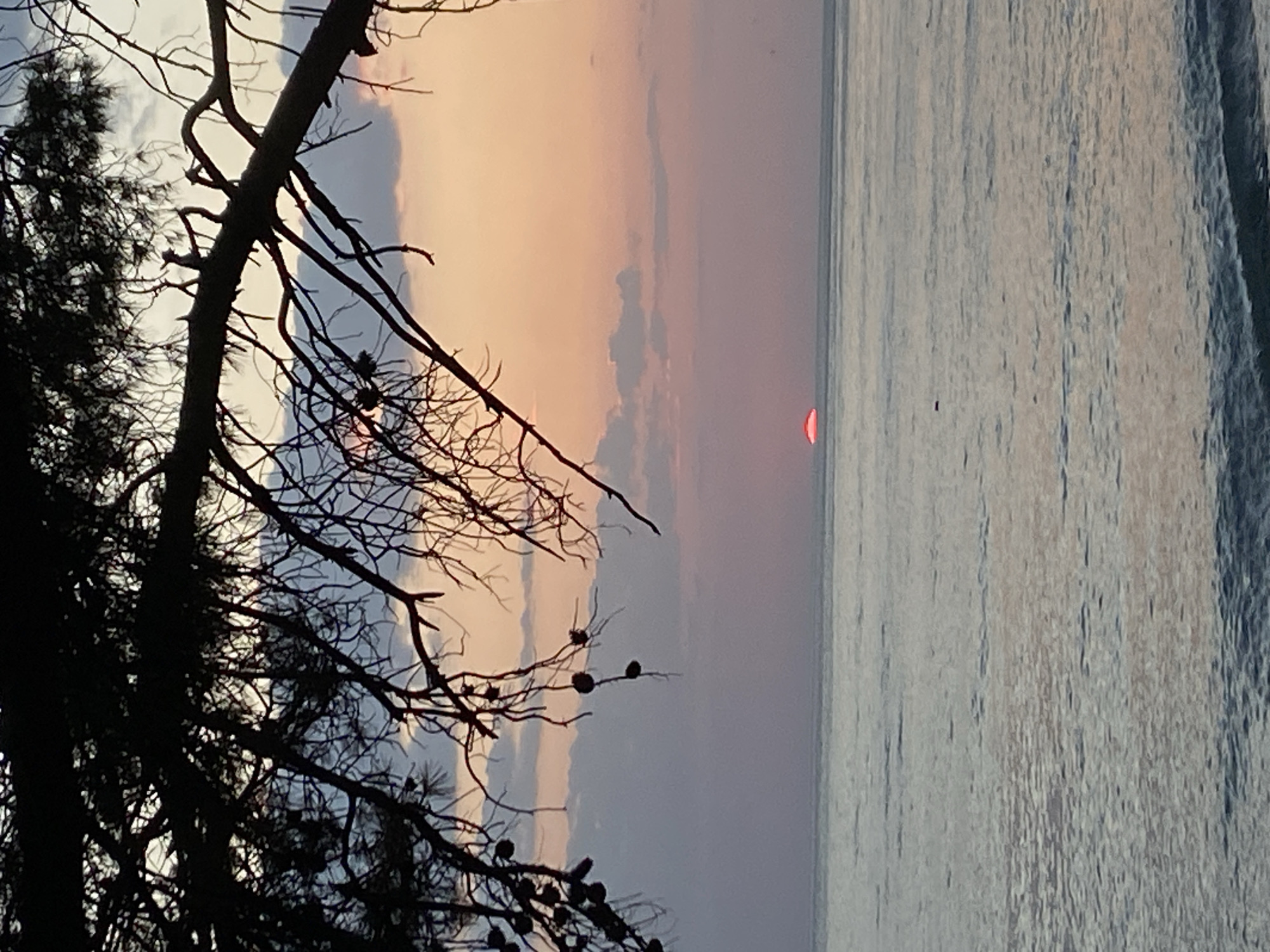 The image captures a sunset scene in Bar, Montenegro, featuring a body of water, possibly the Adriatic Sea. The lower rim of the sun appears red above the horizon. Silhouetted branches and foliage of a tree are prominently displayed on the left side of the frame, obscuring the view. The sky shows shades of orange, pink, and gray clouds. The water appears calm, with slight wave action on the right side. No people are visible in the scene.
