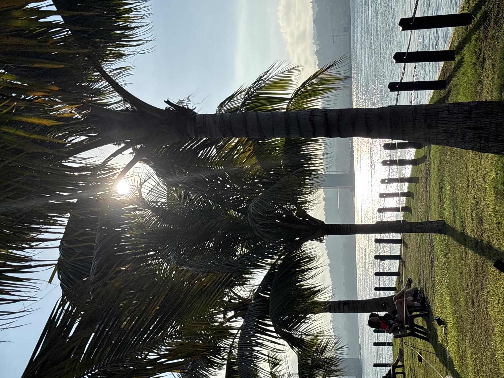 The image captures a serene waterfront scene in Davao City, Philippines, likely within the Davao Coastal Road or a similar park area. In the foreground, several palm trees with fronds filter the sunlight, creating dappled shadows on the green grass. The sun's rays pierce through the leaves, casting a bright glow. A wooden bench is occupied by two individuals, appearing to be a couple, sitting side-by-side and facing the water. Their interaction is not clearly discernible, but they seem relaxed.
Beyond the grassy area, a body of water, possibly the Davao Gulf, stretches out, reflecting the bright sunlight with a shimmering effect. A black metal fence with evenly spaced posts and a chain runs along the edge of the water, delineating the park from the sea. In the distance, a hazy cityscape with various structures, including what appears to be a bridge and construction cranes, can be seen against a light blue sky with scattered clouds. The overall atmosphere is peaceful and idyllic, suggesting a pleasant day at the waterfront.