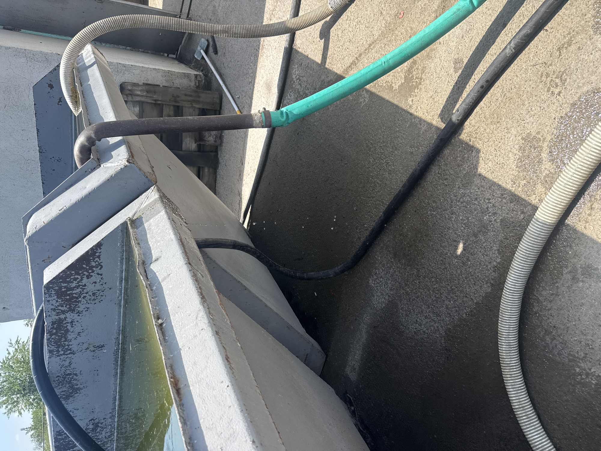 The image captures an outdoor scene dominated by a large, grey concrete trough or basin, positioned diagonally across the frame. Various hoses are arranged around and over this structure and on the concrete ground.
**Subjects:** The main subjects are multiple hoses and the concrete trough. A ribbed, off-white hose arcs over the trough, partially resting on its edge. A smooth black hose extends into the trough, with its end submerged in greenish water. Another black hose lies on the wet concrete ground. A bright green hose is prominently featured, connected to a black hose on the ground with a metallic clamp. The ground is made of concrete, showing wet and dry patches. In the background, parts of a simple wooden structure and some green foliage from a tree or bush are visible.
**Activity or event taking place:** While no people are present, the arrangement of hoses, the water in the trough, and the damp ground suggest a recent or ongoing water-related activity. This could involve filling the trough, draining it, or using the hoses for irrigation or cleaning purposes. Water droplets are visible on the concrete surface.
**Notable details:** The scene is illuminated by bright sunlight, casting strong, distinct shadows from the hoses and structures onto the ground, indicating daytime, likely midday or early afternoon, under clear skies. The concrete trough appears weathered, with some paint flaking off, and the water inside has a greenish tint, possibly due to algae. The hoses vary in color and texture, with a visible connection point featuring a metal clamp on the ground. The overall setting appears utilitarian, potentially an agricultural or industrial area in Sarnevo, Bulgaria. There is no visible text in the image.