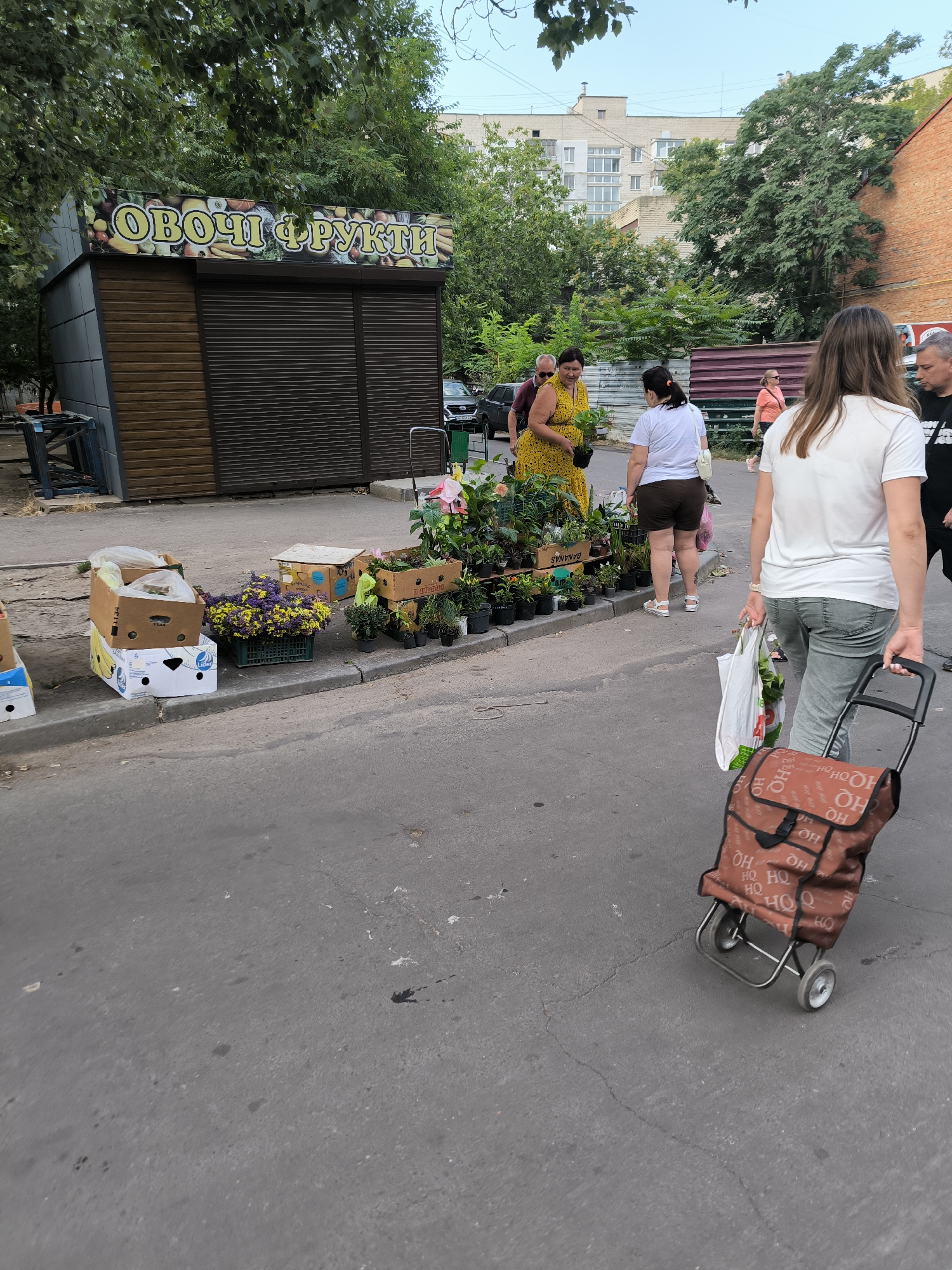 A street scene in Mykolaiv, Ukraine, features a fruit and vegetable stand with a large sign overhead reading "OBOCHI FRUKTY" (Vegetables Fruits). The stand has metal shutters. In front of the stand, several boxes are stacked on the sidewalk, some containing produce and others empty. Potted plants and flowers are displayed on the ground and in crates. A woman in a yellow dress stands behind the stand, interacting with customers. Several people are walking in the vicinity. In the foreground, a woman with long brown hair is pulling a wheeled shopping cart filled with plastic bags. The environment appears to be an urban street with buildings and trees visible in the background. The time of day seems to be late afternoon or early evening, with soft lighting.