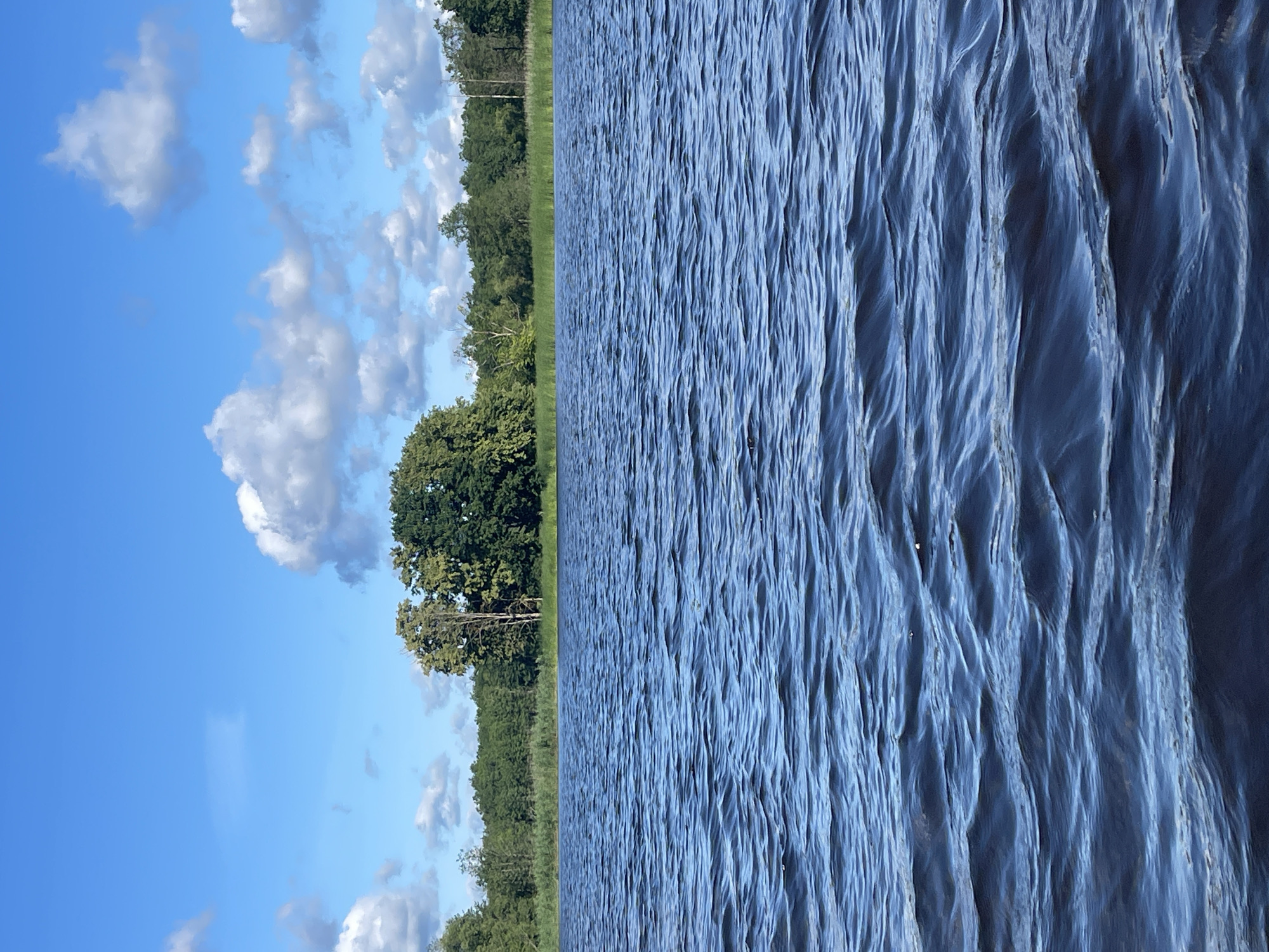 A calm, blue lake under a bright sky with fluffy white clouds is in the foreground. The water has small ripples on its surface. In the background, a dense line of green trees and reeds separates the water from the sky. Several taller trees with lighter green foliage stand out among the darker trees. The scene appears to be a natural landscape, possibly a park or undeveloped area, in Tīreļi, Latvia. There are no people or animals visible in the image.