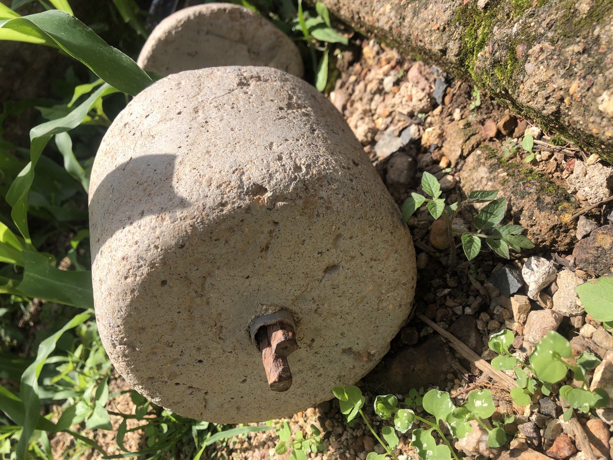 The image shows a close-up view of two large, roughly cylindrical concrete objects resting on the ground. The object in the foreground is larger and more prominent, with a rusty metal bolt protruding from its center. The concrete has a rough, porous texture and is a light grey color. The background reveals more of the ground, which is covered in dirt, small rocks, and some patches of green vegetation. To the left of the foreground object, large green leaves, possibly from a corn plant, are visible. To the right and top of the image, there is a rough, textured surface that appears to be made of concrete or stone, with some moss growing on it. The lighting suggests it is daytime, with shadows casting across the foreground object. The scene appears to be outdoors, in a natural or semi-natural setting. No people or text are visible in the image.
