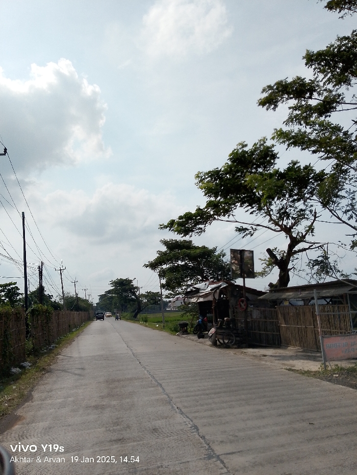 This image captures a semi-rural street scene, likely in Arjawinangun, Indonesia, on an overcast afternoon. A straight, concrete road, marked with a central seam, recedes into the distance.
On the left side of the road, a fence constructed from natural materials like bamboo or interwoven branches runs along the edge, behind which utility poles carrying numerous power lines stand tall. Greenery is visible beyond the fence.
To the right, a series of small, makeshift stalls or shops are clustered under the shade of a large, leafy tree. These structures feature corrugated metal roofs and walls, some appearing to be made of bamboo. A scooter or motorcycle is parked near one of the stalls, suggesting activity. A dark, unreadable sign is visible above one stall, and another partial sign is seen to the far right.
In the middle ground, on the road, a dark-colored car, a lighter vehicle (possibly a small car or van), and a person on a motorcycle are traveling away from the camera, indicating daily traffic. The background reveals more trees, distant buildings, and what appears to be green fields, possibly rice paddies.
The sky is bright but predominantly covered with white and light grey clouds. The visible text on a watermark in the bottom left corner reads "vivo Y19s Akhtar & Arvan 19 Jan 2025, 14:54," indicating the device, photographers, and time of capture. The scene depicts a typical, calm day in a local community.