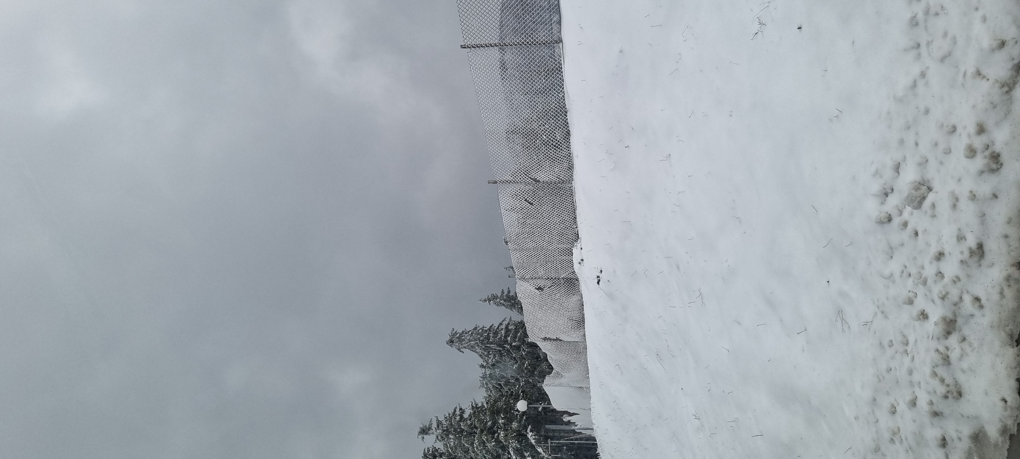 The image shows a snowy, overcast landscape. To the right of the frame is a snow-covered surface with debris embedded in it. A chain-link fence runs diagonally from the upper right to the lower left of the frame. Beyond the fence, snow-covered evergreen trees are visible. The sky is a uniform gray. The location, Barziya, Bulgaria, is not verifiable from the image.