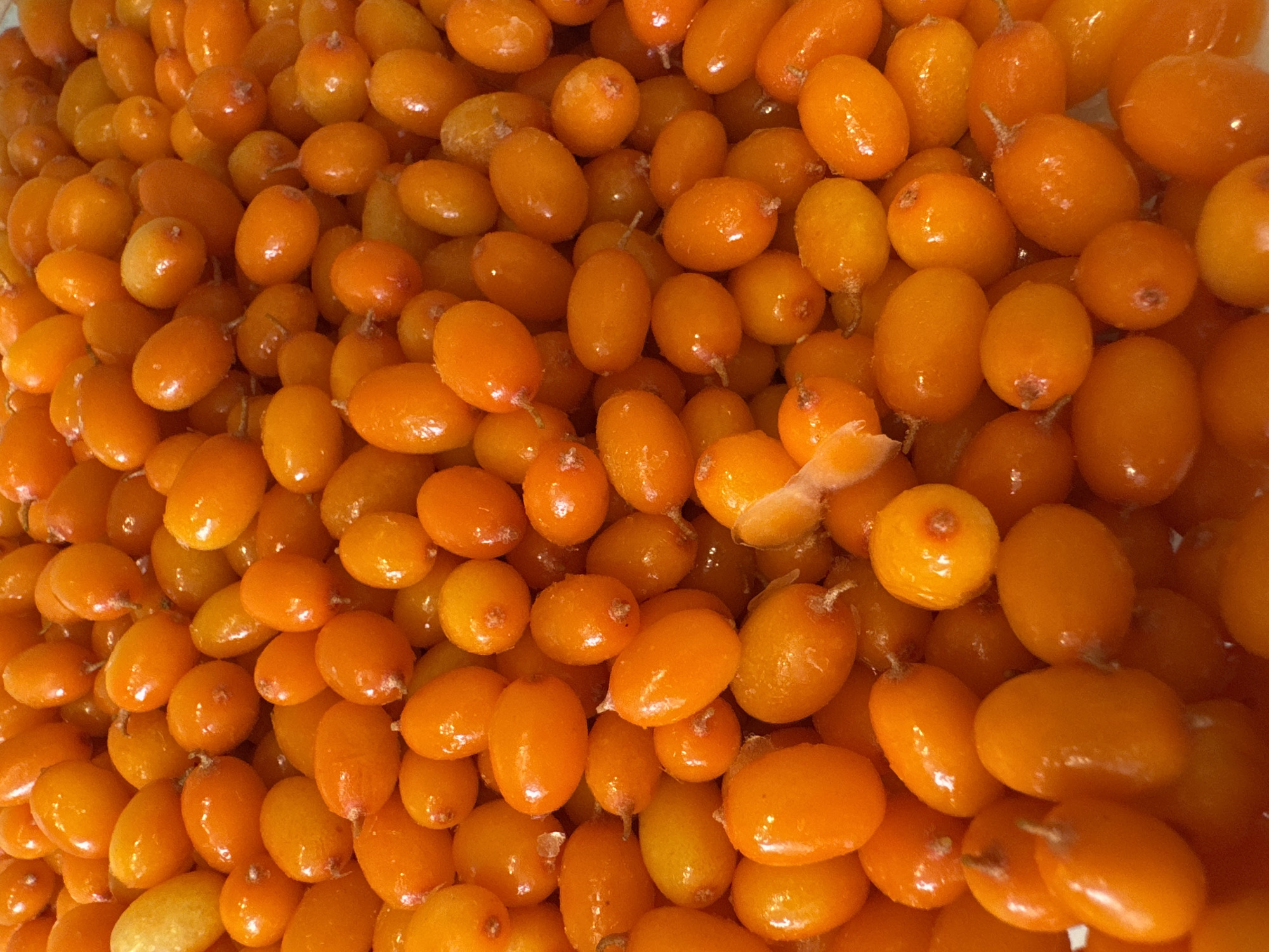 The image shows a close-up, high-angle view of a large quantity of orange-colored, oval-shaped berries. The berries are densely packed, creating a continuous surface. Some berries have visible stems. The berries are shiny, suggesting a moist or oily surface. The setting appears to be indoors, possibly a container or preparation area. The information about Votkinsk, Russia, is not evident in the image.