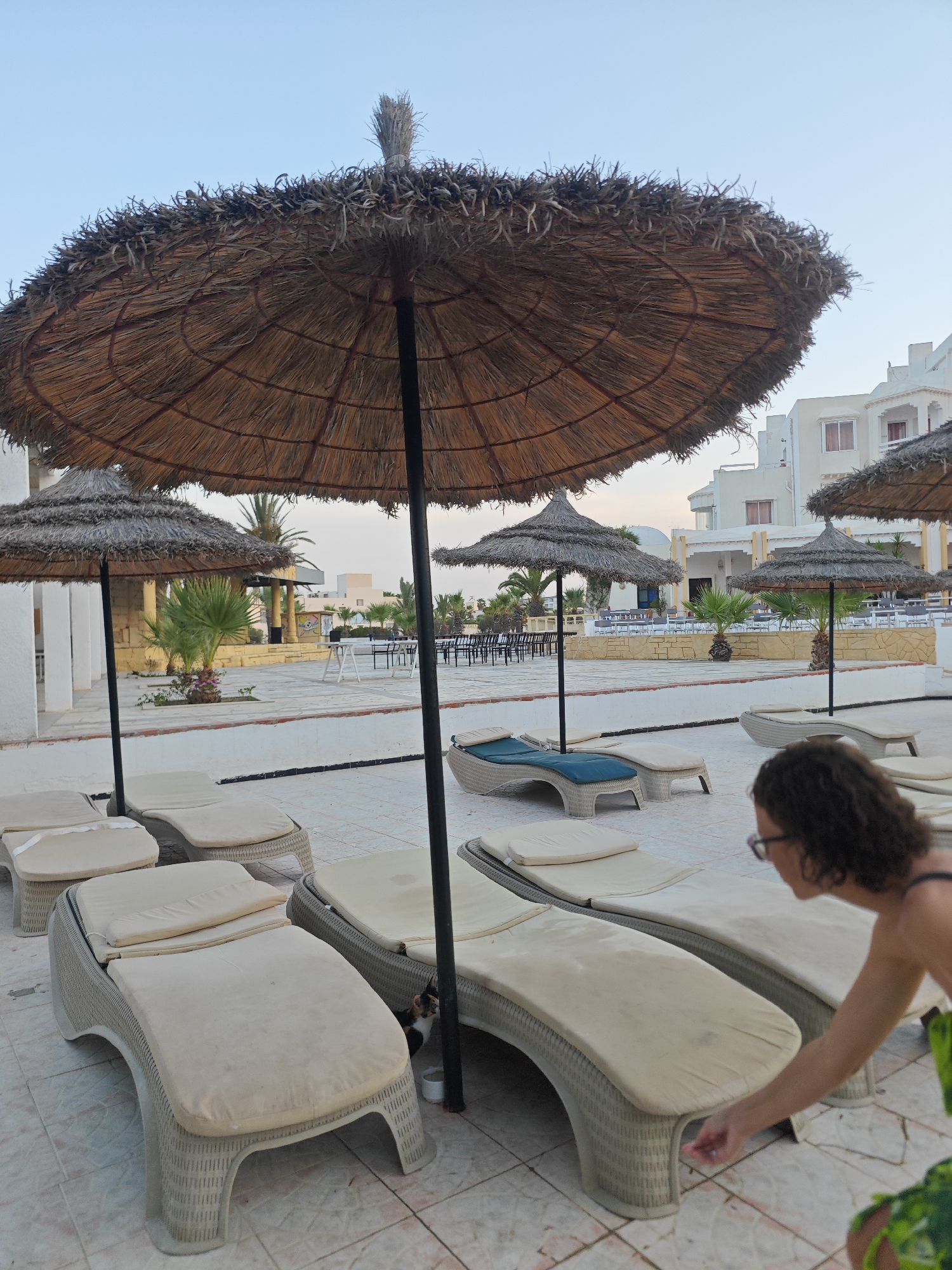This image depicts an outdoor poolside scene at a resort in Hiboun, Tunisia. The foreground is dominated by several beige, wicker-style lounge chairs with off-white cushions. A woman with dark curly hair and glasses is partially visible on the right, reaching towards one of the lounge chairs. In the middle ground, more lounge chairs are arranged around a tiled patio. Several large, thatched umbrellas provide shade. A small calico cat is visible between two lounge chairs in the middle ground. In the background, white resort buildings with balconies and windows are visible, along with palm trees and other vegetation. The sky is a clear, pale blue, suggesting it is either early morning or late evening.