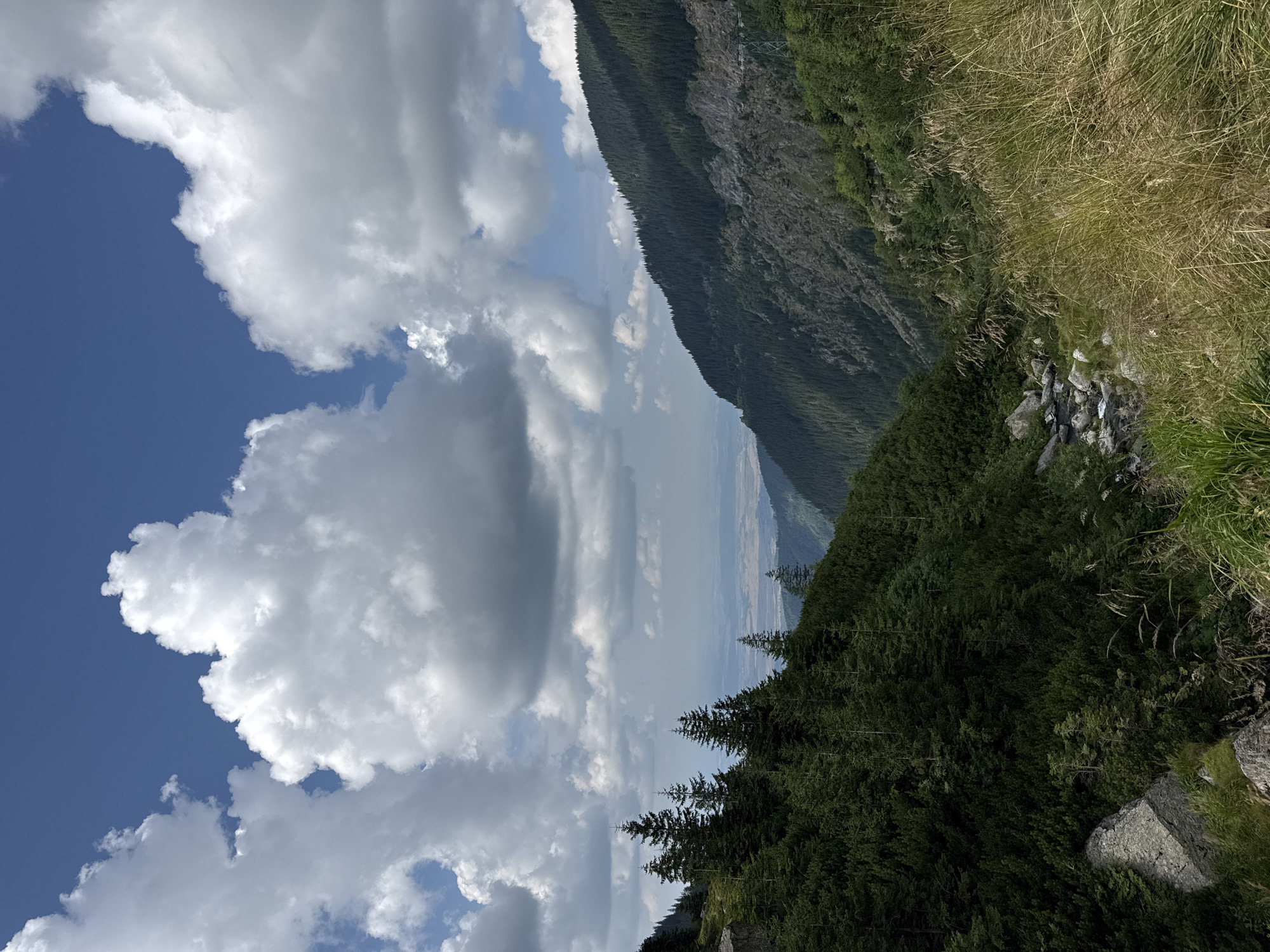 This is a vertical, eye-level, medium shot of a mountain valley in Cârțișoara, Romania, on a partly cloudy day. In the foreground, to the left, a large grey rock is partially visible, covered in green moss and surrounded by tall, dry grasses. A small stream flows through the valley floor, with rocks scattered around it. The valley slopes steeply upwards on both sides, covered in dense, dark green evergreen trees. The left slope is closer and more detailed, with visible rock formations and a few taller pine trees. The right slope recedes into the distance, with a winding road visible carved into its side and a transmission tower in the middle distance. In the background, the valley opens up to a hazy, flat plain under a bright blue sky filled with large, fluffy white cumulus clouds. The overall impression is one of a wild, natural mountain landscape.