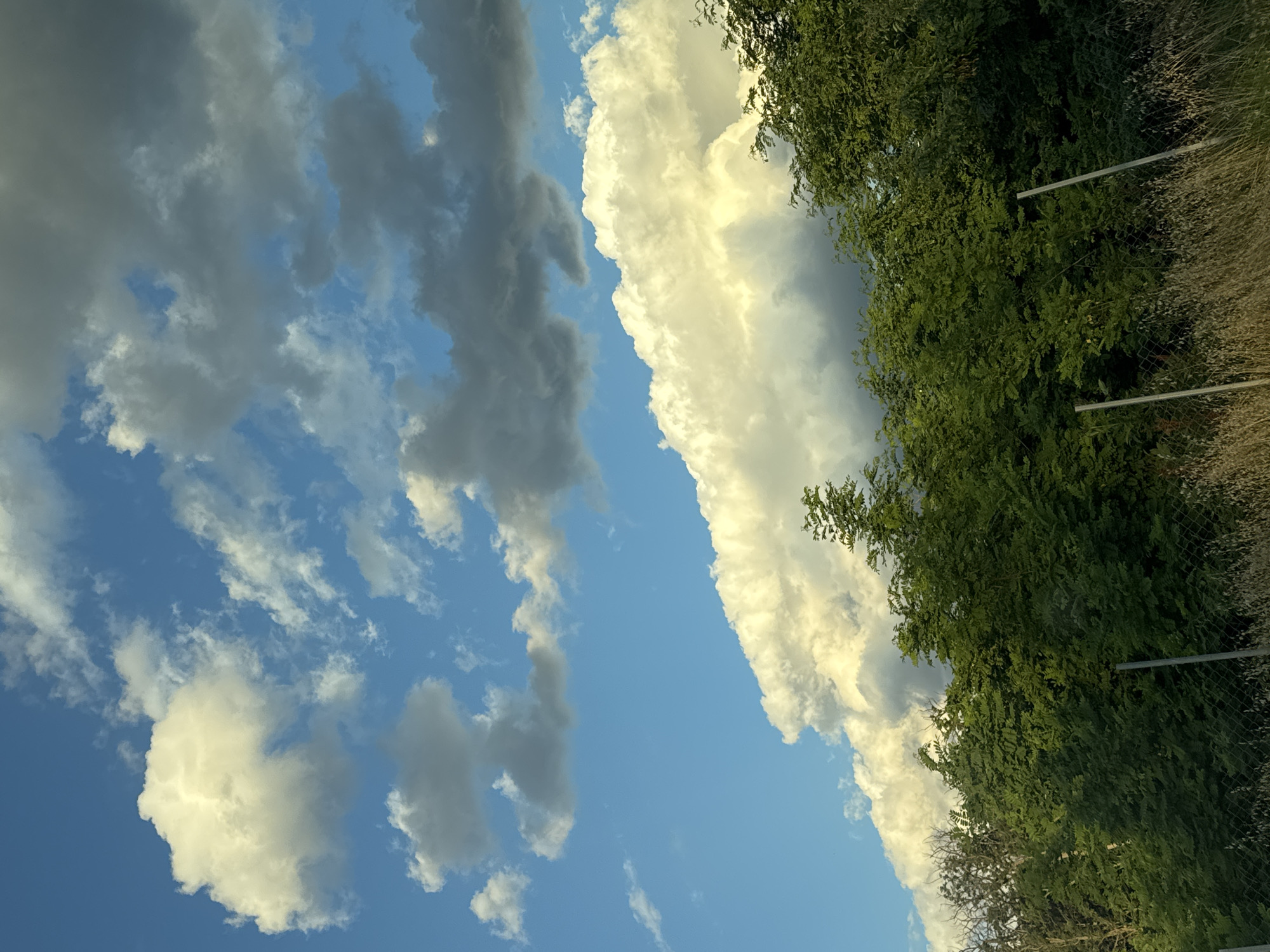 The image depicts a landscape scene with a focus on the sky and vegetation. The sky is a vibrant blue, filled with a variety of clouds. Some clouds are bright white and puffy, illuminated by sunlight, while others are darker gray and appear more dense. These clouds are scattered across the upper portion of the image, creating a dynamic sky.
Below the sky, a dense line of lush green trees forms the midground. The foliage is thick and varied, with some trees appearing taller and more mature than others. There are also some bare branches visible amongst the green, suggesting a mix of deciduous and evergreen plants, or perhaps a transition in seasons.
The foreground consists of dry, tall grasses and a wire fence with metal posts. The grass is light brown and appears somewhat unkempt. The fence runs horizontally across the bottom of the frame, with two vertical posts clearly visible. The overall impression is of a rural or semi-rural environment. There are no people or animals visible in the image, and no specific actions are taking place. The lighting suggests it might be late afternoon or early morning, with the sun casting a warm glow on some of the clouds and vegetation.
There is no discernible information in the image to indicate its location within the city of Plovdiv, Bulgaria. The scene is generic enough to be found in many locations with similar natural elements.