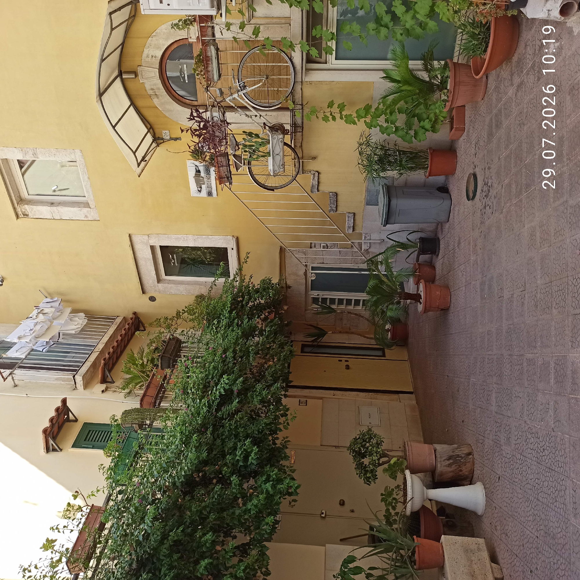 The image depicts a narrow courtyard in Bitonto, Italy, characterized by a yellowish-ochre building facade and terracotta-tiled roofing. Lush green foliage cascades from balconies and planters, interspersed with various potted plants and trees. A vintage white bicycle is prominently displayed, mounted on a railing and adorned with planters, serving as a decorative element on an external staircase. Laundry hangs from a line on an upper balcony, suggesting residential use. The courtyard floor is paved with patterned tiles. A gray waste bin and a white pedestal with a planter are visible at ground level. The scene is illuminated by daylight, with shadows cast on the walls. The bottom right corner displays the date and time "29.07.2026 10:19".