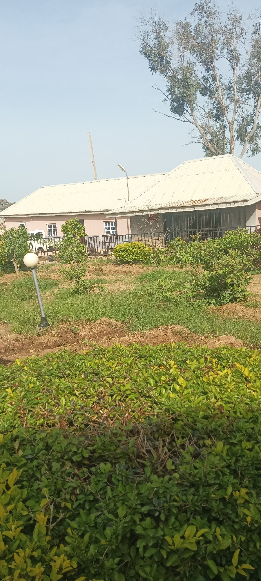 The image depicts a light pink, single-story building with a white corrugated metal roof, located in a grassy and vegetated outdoor environment. The building has multiple windows with white frames and appears to be a residential or administrative structure. In front of the building, there is a black metal fence. Various trees and bushes are present, including a large tree with sparse foliage towards the upper right of the frame and a hedgerow in the foreground. A white car is partially visible behind the building on the left side. A modern-looking outdoor lamp post with a spherical light fixture stands in the yard to the left of the building. The sky is clear and pale blue. The scene is consistent with a location in Rukuba Road, Nigeria, characterized by its natural vegetation and architecture. There are no people visible in the image.