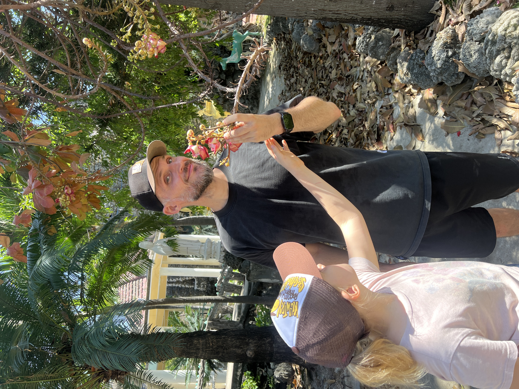This detailed image captures an outdoor scene in Cam Ranh, Vietnam, featuring an adult male and a child in a lush, sunny environment. The adult male, with a light complexion, short beard, and a baseball cap, stands centrally, holding a cluster of distinctive pink and yellow flowers and buds in his left hand, looking directly at the camera with a slight smile. He is wearing a black crew-neck t-shirt and black shorts, with a dark fitness tracker visible on his left wrist. Partially obscured by the male, a child with blonde hair in a ponytail and wearing a pink t-shirt and a brown and white baseball cap, faces away from the camera, looking up towards the flowers held by the adult male. The child's left hand is extended towards the flowers or the adult's arm.
The immediate surroundings include a tree with thick, gnarled branches, from which more of the same pink and yellow flowers and buds emerge, consistent with a Cannonball tree (Couroupita guianensis). To the left, a large palm tree with long green fronds is prominent, and other palm trees are visible further back. The ground consists of a concrete path bordered by irregular, dark gray, porous rocks, with numerous dry, brown leaves scattered across the ground and rocks. In the background, a white gazebo-like structure with a red-tiled roof is visible, along with a white statue, possibly religious, positioned to its right. Further back on the right, a light green deer-like statue is discernible amidst the foliage, and patches of clear blue sky are visible through the tree canopy, indicating bright, direct sunlight.