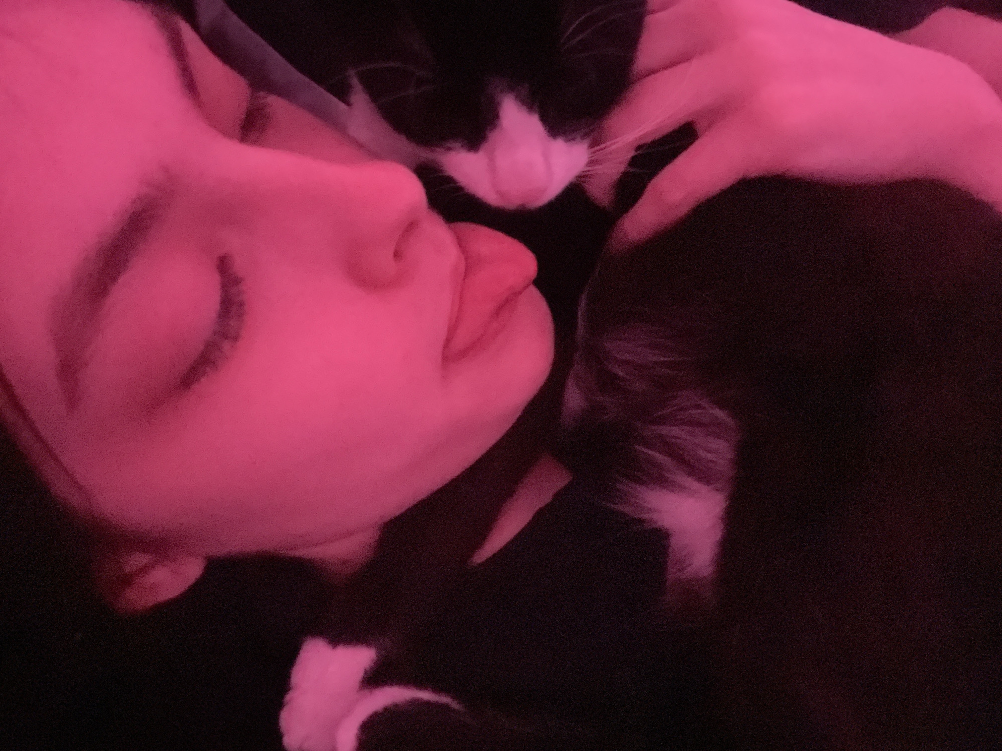 A close-up, high-angle photograph captures an intimate moment between a person and a cat, set indoors in Saint Petersburg, Russia. The scene is bathed in a prominent, strong pink or magenta light, suggesting nighttime or a specially lit room, creating a warm and dreamlike atmosphere.
On the left side of the frame, the person, likely a young woman, is shown in profile, lying down with their eyes gently closed, indicating they are asleep or deeply relaxed. Their lips are slightly parted. A hand, presumably theirs, is visible in the upper right, softly resting near the cat, highlighting a tender connection.
Occupying the upper-middle and right side of the image is a black and white cat, its face clearly visible and resting close to the person's face. The cat also appears to be calm or sleeping. The black fur of the cat and parts of the background are absorbed into the deep shadows, contrasting with the vibrant pink illumination on the person's skin and the cat's white fur. The overall mood conveyed is one of peace, affection, and comfort. There is no visible text in the image.