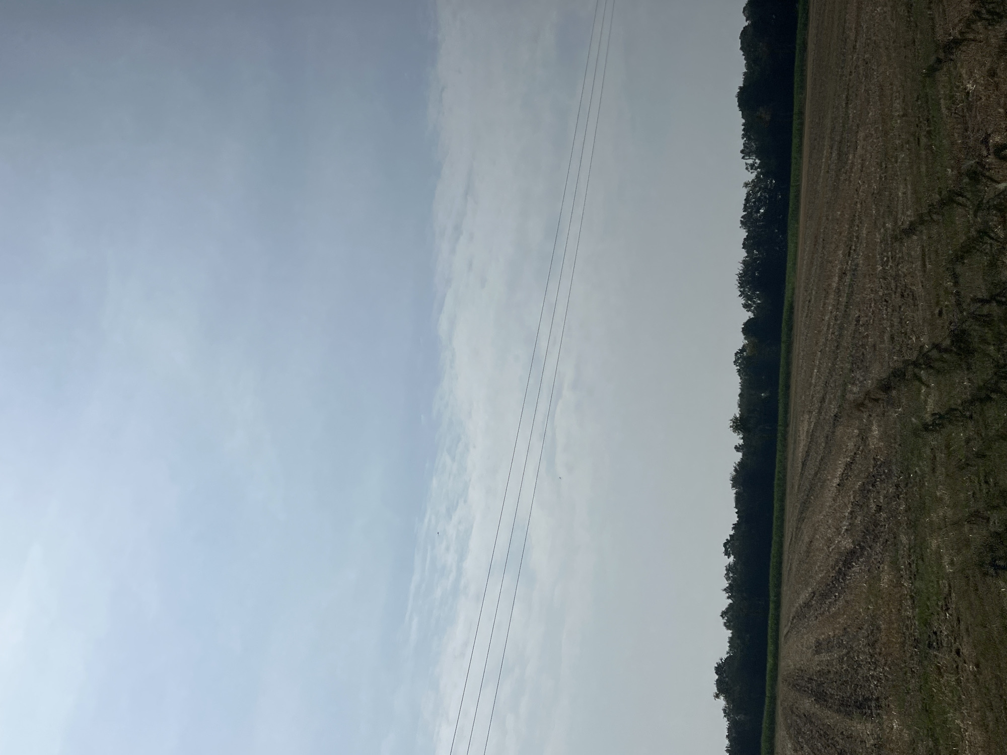 The image depicts a rural landscape under a hazy, overcast sky. In the foreground, a recently harvested field shows rows of stubble and tilled soil. Beyond this field, a dark line of trees forms the horizon, with a strip of green vegetation running along the edge of the treeline. Three thin, dark power lines traverse the frame horizontally from left to right in the upper half of the image. The overall impression is one of agricultural land and a somewhat subdued natural environment, likely taken during daytime hours given the illumination. The location is given as Unknown, Unknown.