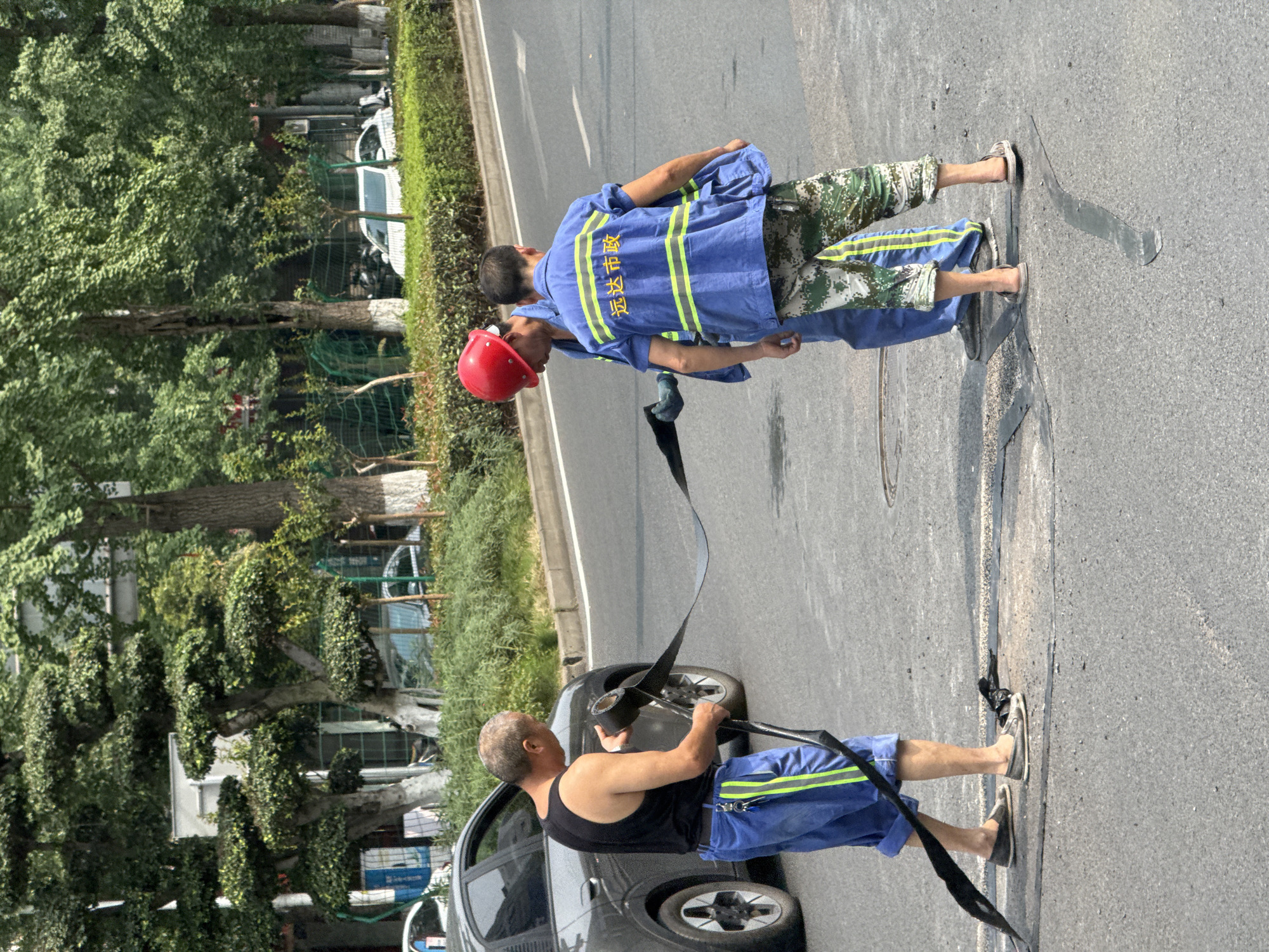 The image depicts an outdoor urban scene in Jiangjin, China, during daylight. Three adult males are present on an asphalt road, engaged in what appears to be road maintenance or sealing activities.
On the left, a man with a receding hairline and short hair, wearing a black tank top and blue shorts with neon green side stripes, is holding a large roll of black material. He is unrolling a long, flat strip of this material onto the asphalt, looking down at his hands. A dark grey sedan with multi-spoke wheels is partially visible behind him.
In the center, a man wearing a red hard hat, a blue long-sleeved work shirt, and blue pants, stands facing the man on the left. He is wearing gloves and appears to be interacting with the black material being unrolled.
On the right, a man with short dark hair, wearing a short-sleeved blue work shirt with two horizontal neon green stripes on the back and the Chinese characters "远达市政" (Yuanda Shizheng) printed above them, is positioned near the road surface. He is also wearing camouflage-patterned capri pants and light-colored sandals, and holds a blue cloth bag or item in his left hand. He is looking down at the ground.
The asphalt road surface shows existing cracks and irregular patches of a similar black material already applied, particularly around circular features that appear to be manhole covers. A strip of the black material extends from the left man towards the center of the road. Faint white road markings are visible further down the street.
The background features a lush green environment, including well-maintained trees with dense canopies (some exhibiting pruned, tiered forms), green bushes, and a hedgerow separating the road from a sidewalk or median strip. Several trees have their lower trunks painted white. Other vehicles, including a white car and motorbikes, are partially visible in the distance behind the greenery. The scene is brightly illuminated by direct sunlight.