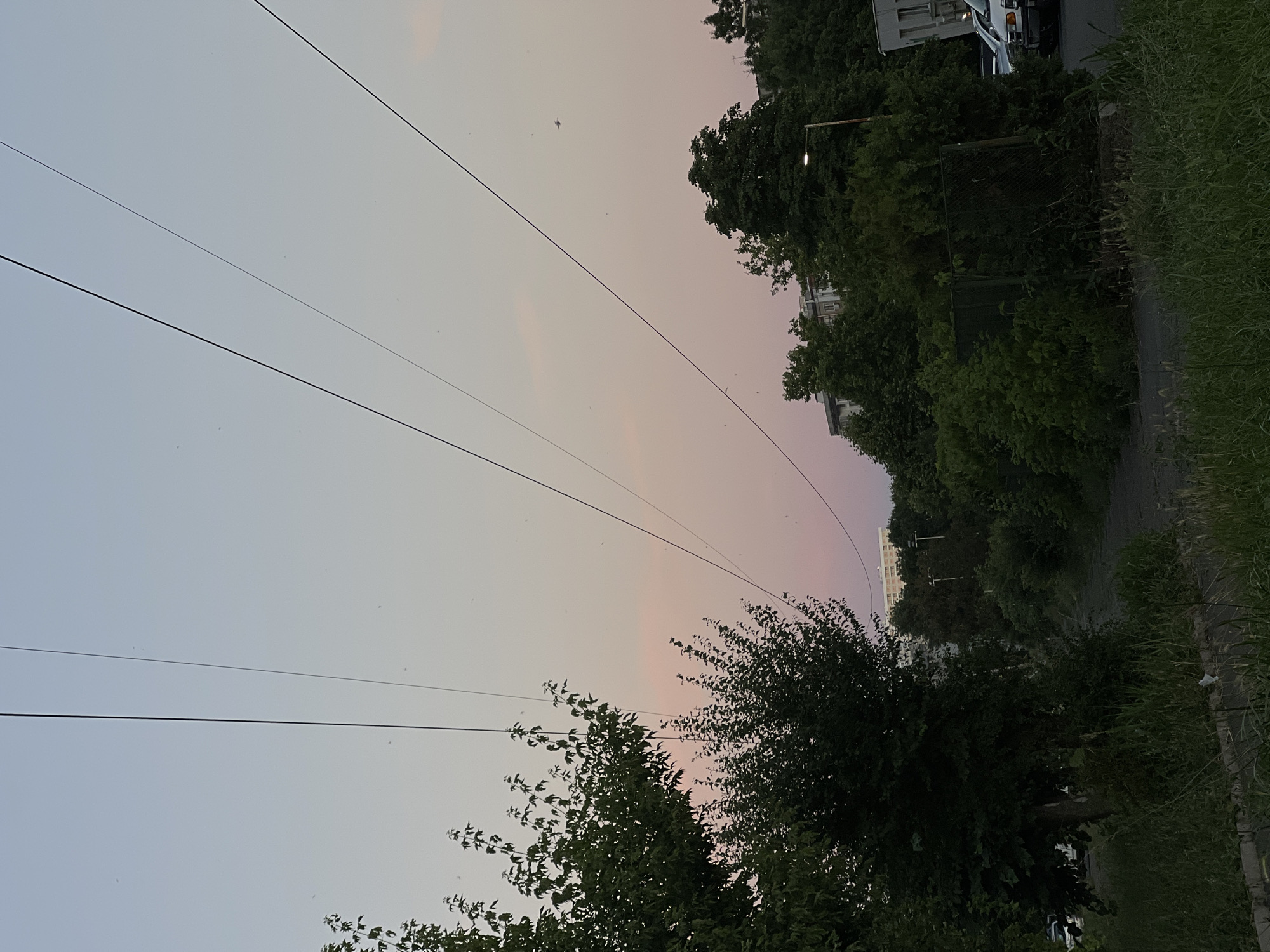 A twilight scene in Burgas, Bulgaria, is depicted with power lines crisscrossing the pale pink and blue sky. Lush green trees dominate the foreground and mid-ground, with a dense canopy partially obscuring a path and a chain-link fence. In the distance, several apartment buildings and a street lamp are visible amidst the foliage. The ground is covered with grass and a worn asphalt path. Vehicles are parked on the right side of the image. The overall impression is of a quiet, urban evening, possibly in a residential area with abundant greenery.