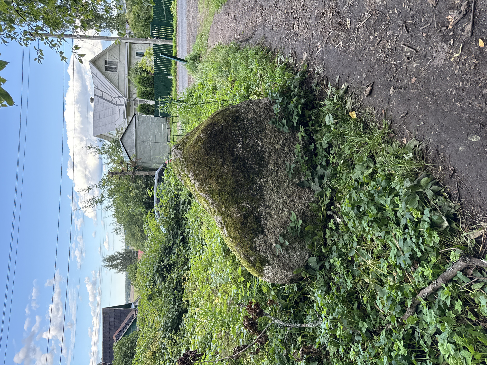 A rural scene in Krasnoye Selo, Russia features a large, moss-covered boulder in the foreground, situated amidst dense green foliage and a dirt path. In the background, a light-colored house with a grey roof and a green fence are visible, along with a small grey shed. Overhead, power lines traverse the bright blue sky dotted with white clouds. The overall impression is one of a quiet, slightly overgrown, residential area.
