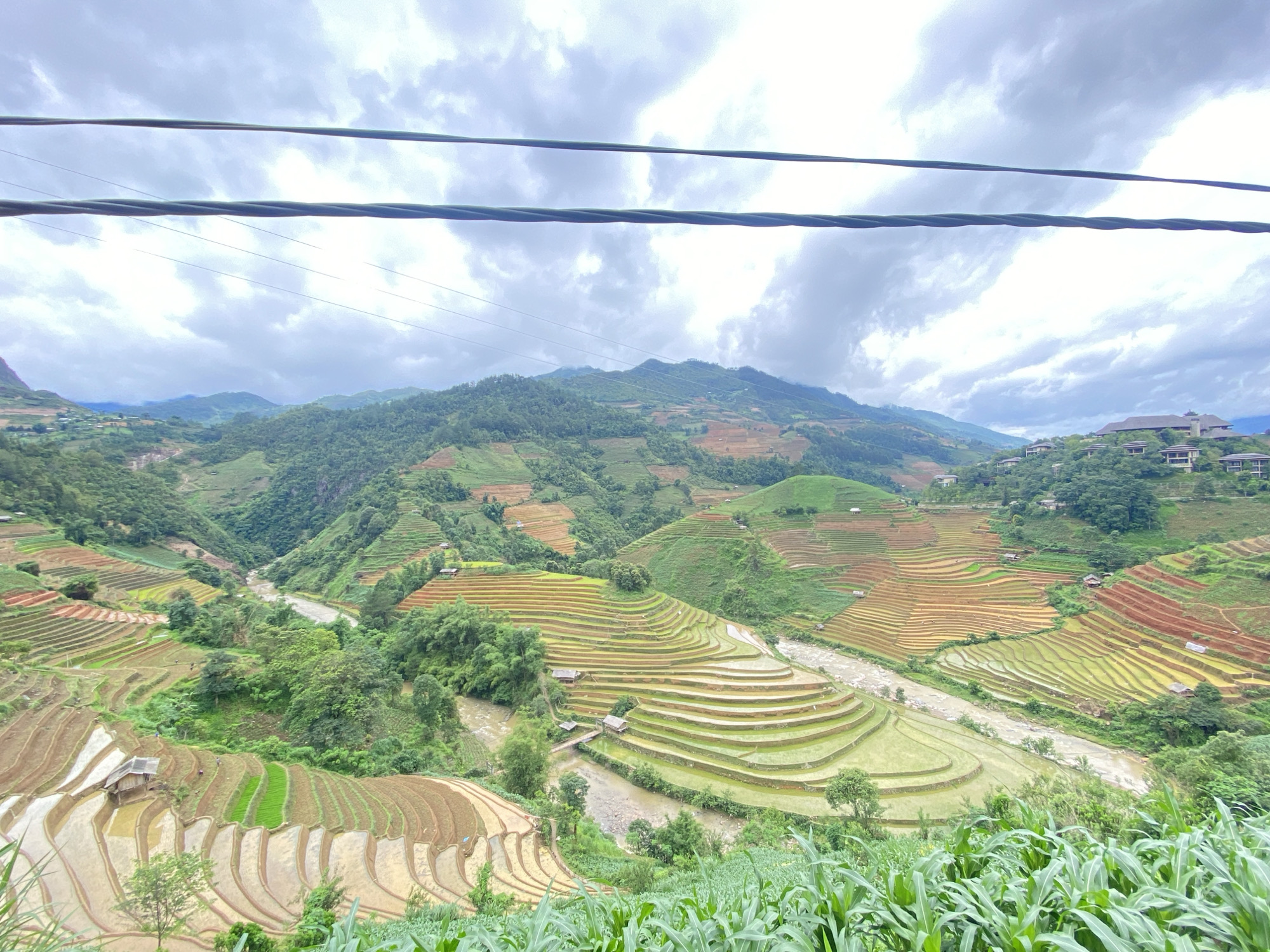 The image displays an elevated, wide-angle landscape of terraced mountains and a valley in Mù Cang Chải, Vietnam, under a heavily clouded sky. Two thick, dark electrical cables span horizontally across the upper portion of the frame, partially obscuring the sky and distant peaks. The immediate foreground consists of dense green foliage, likely agricultural crops.
The midground features a deep valley, at the base of which a winding river or stream flows. The valley's steep slopes on both sides are extensively cultivated with numerous rice terraces. These terraces exhibit various states: some are flooded with water, appearing light brown and reflective; others are planted with vibrant green crops; and some expose reddish-brown soil. Several small, dark-roofed wooden huts or shelters are scattered throughout the terraced fields and along the riverbanks. Small, indistinct human figures are discernible in multiple terraced sections, suggesting agricultural activity.
The background comprises additional layers of green, terraced mountains extending into the distance. On a distant ridge to the upper-right, a cluster of modern buildings with dark, multi-faceted roofs is visible amidst the vegetation.