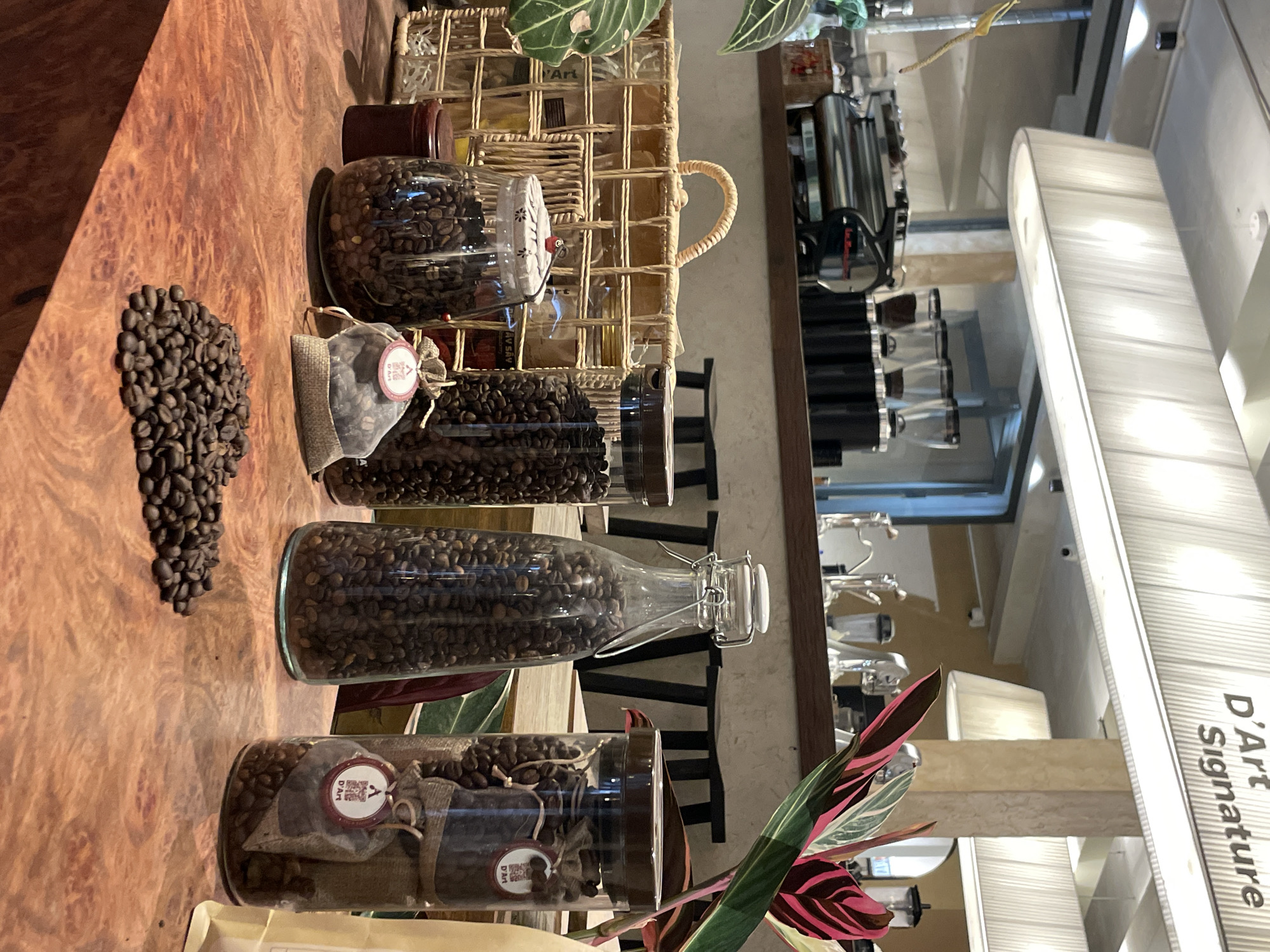 The image shows a close-up of a wooden counter at a coffee shop in Da Lat, Vietnam. The counter is covered with various containers of coffee beans. In the foreground, a pile of loose coffee beans sits on the counter. To the right of the pile is a clear glass jar filled with coffee beans, with a small burlap bag containing more beans hanging from it. Next to this jar is another tall, clear glass bottle also filled with coffee beans. Further to the left, a smaller glass jar with a patterned lid holds coffee beans, and behind it is a woven basket containing several clear plastic containers, likely also filled with coffee-related items. In the background, coffee-making equipment, including espresso machines and grinders, are visible on a shelf, along with stools and a counter. A decorative plant with pink and green leaves is situated to the right of the counter. The shop appears to be well-lit, with a modern and clean aesthetic, indicated by the large, white rectangular light fixture overhead. The text "D'Art Signature" is visible on a white panel in the upper right corner of the image. No people are visible in the image.