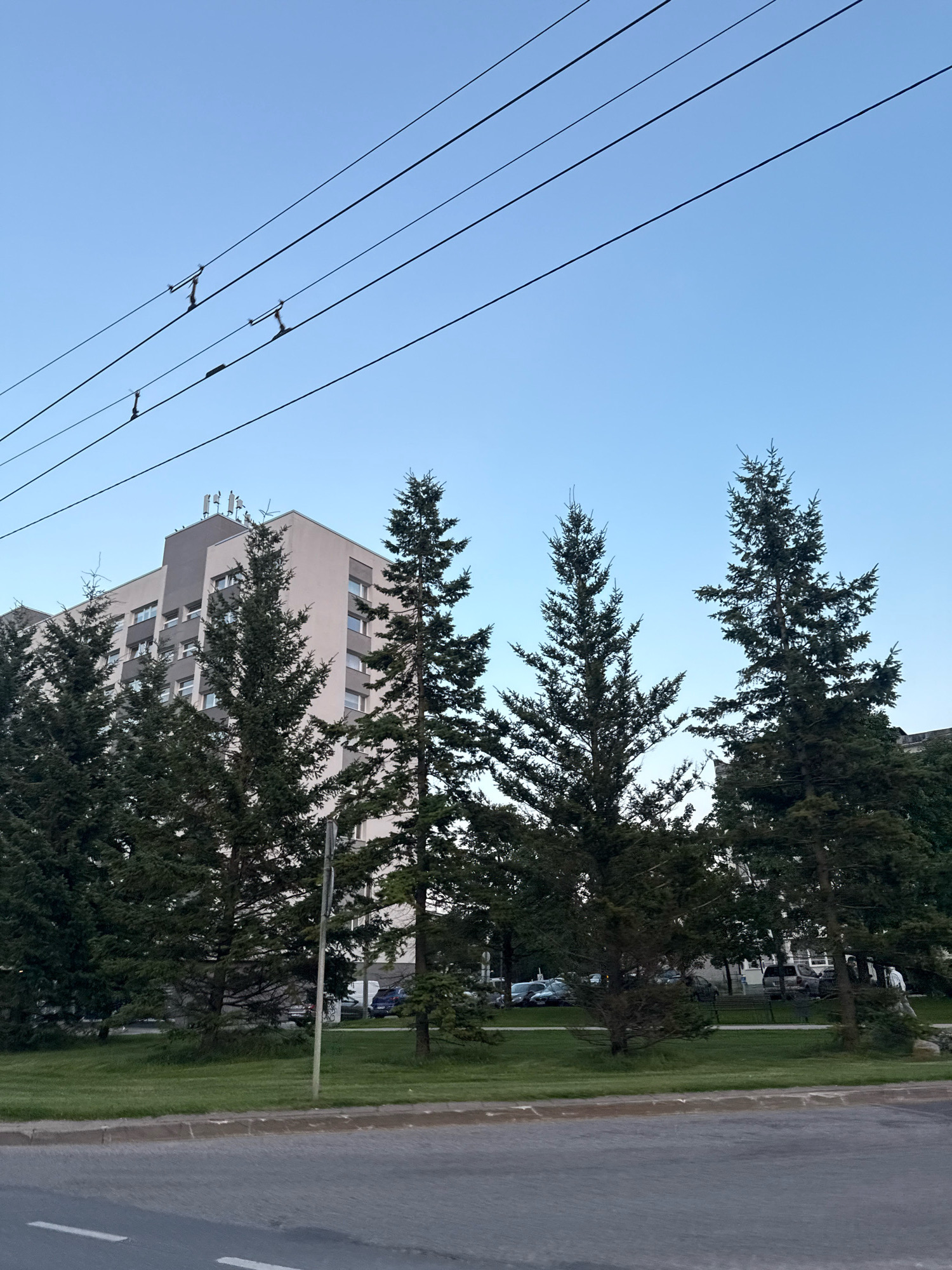 The image captures a street scene in Tallinn, Estonia, under a clear, pale blue sky. In the foreground, a gray asphalt road with white lane markings stretches horizontally across the bottom of the frame. A concrete curb separates the road from a strip of green grass and trees.
Dominating the middle ground are several tall, dark green coniferous trees, some of which are slender and conical, while others are fuller. Behind the trees, a multi-story building stands, appearing to be an apartment complex or office building. The building has a light-colored facade with numerous windows and a darker section on the upper portion. On the roof of the building, several antennas or communication equipment are visible.
Overhead, a series of black power or trolley lines stretch diagonally across the sky. There are small, dark mechanical components attached to these lines at intervals.
In the background, beyond the trees and building, several vehicles are parked or driving. These appear to be cars and possibly a van. A few indistinct figures of people can be seen walking in the distance. The overall atmosphere is calm and urban.
