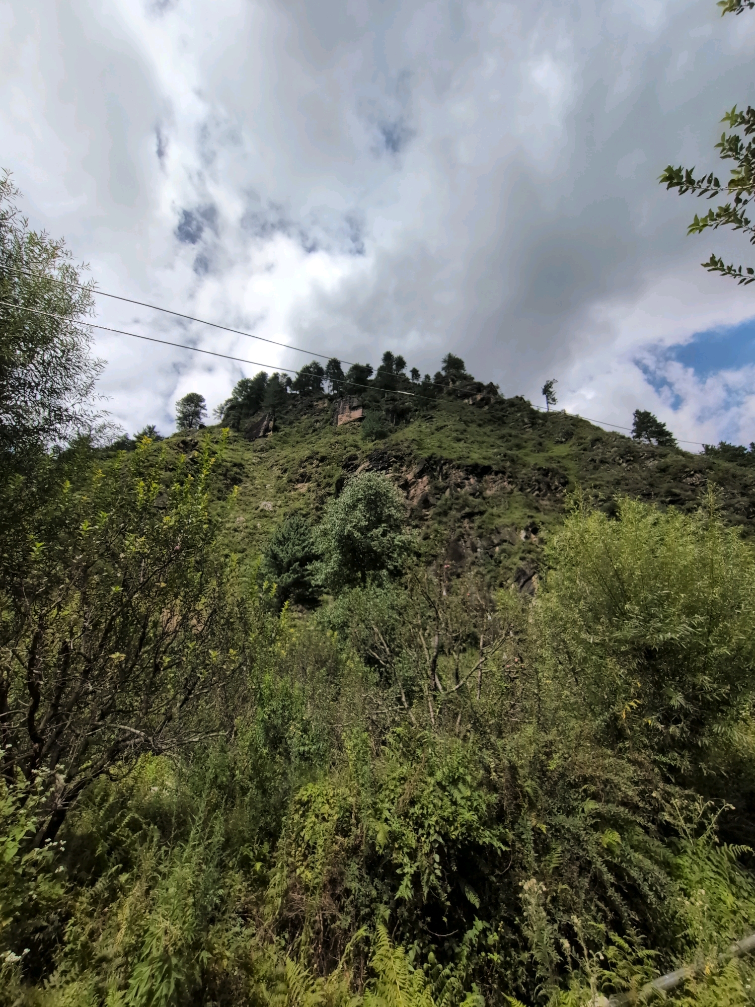 A low-angle, wide shot captures a steep, verdant hillside under a partly cloudy sky in Dashal, India. The terrain is covered in lush green vegetation, with trees and shrubs densely packed across its surface. Rocky outcrops are visible in places, interspersed with patches of grass. Several tall, slender trees stand out along the crest of the hill, their dark green foliage contrasting with the lighter green of the surrounding brush. Two parallel power lines stretch across the upper portion of the frame, angled diagonally from the left to the right, crossing above the trees on the hillside. The foreground is dominated by a dense thicket of leafy green bushes and ferns, with some bare branches of a tree visible on the left. The sky above is a mix of bright white and grey clouds, with a few patches of blue sky peeking through. The overall impression is one of a natural, untamed landscape.