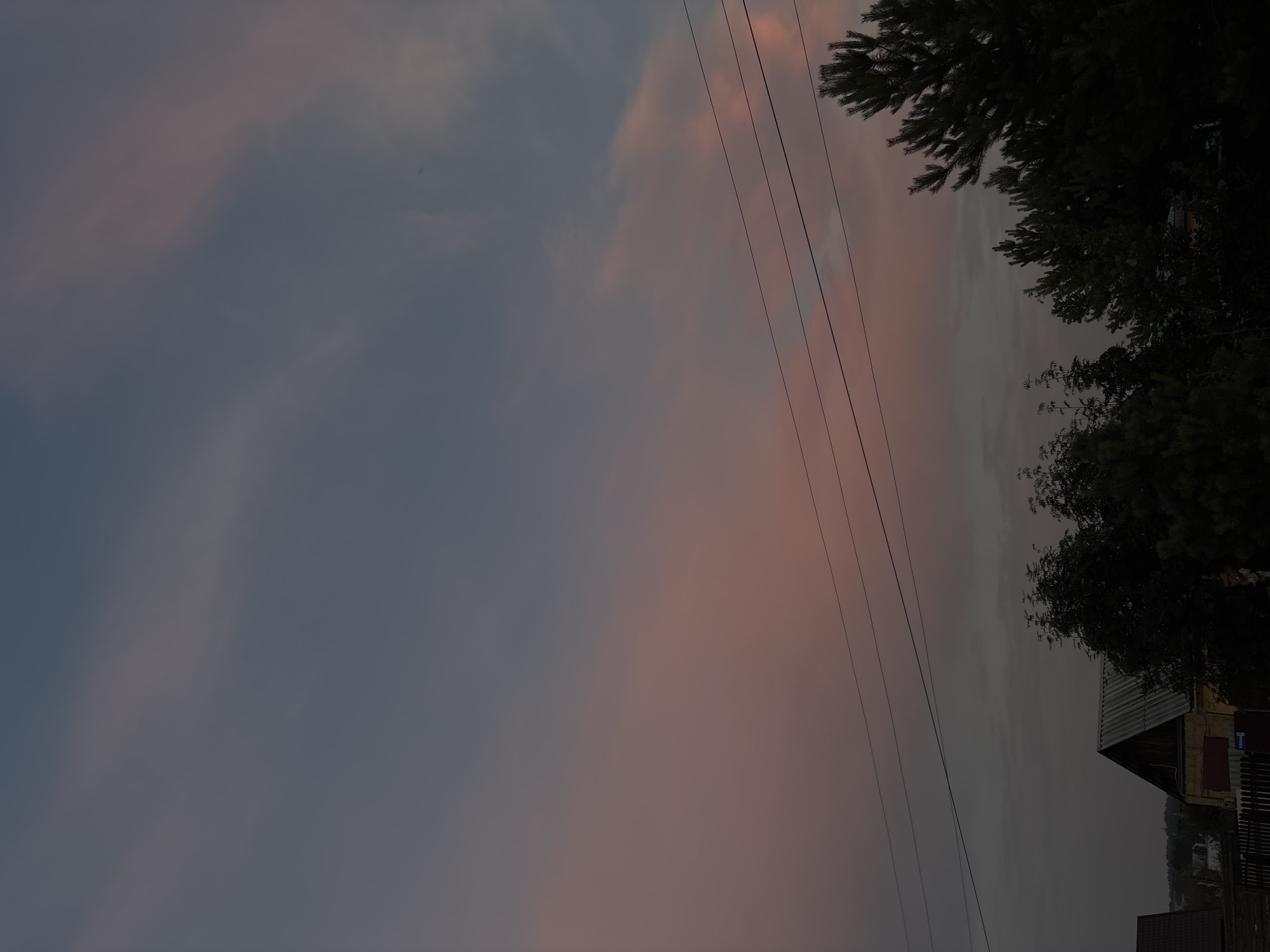 A twilight sky with soft pink and gray clouds is visible above a rural landscape. Three power lines stretch horizontally across the frame. In the foreground, dark silhouettes of pine trees and other foliage are present. Below the trees, the roof of a house with a peaked, corrugated roof is visible, along with a fence. The overall impression is of a quiet, rural evening in Vishnevka, Russia. There are no people or animals visible in the image.