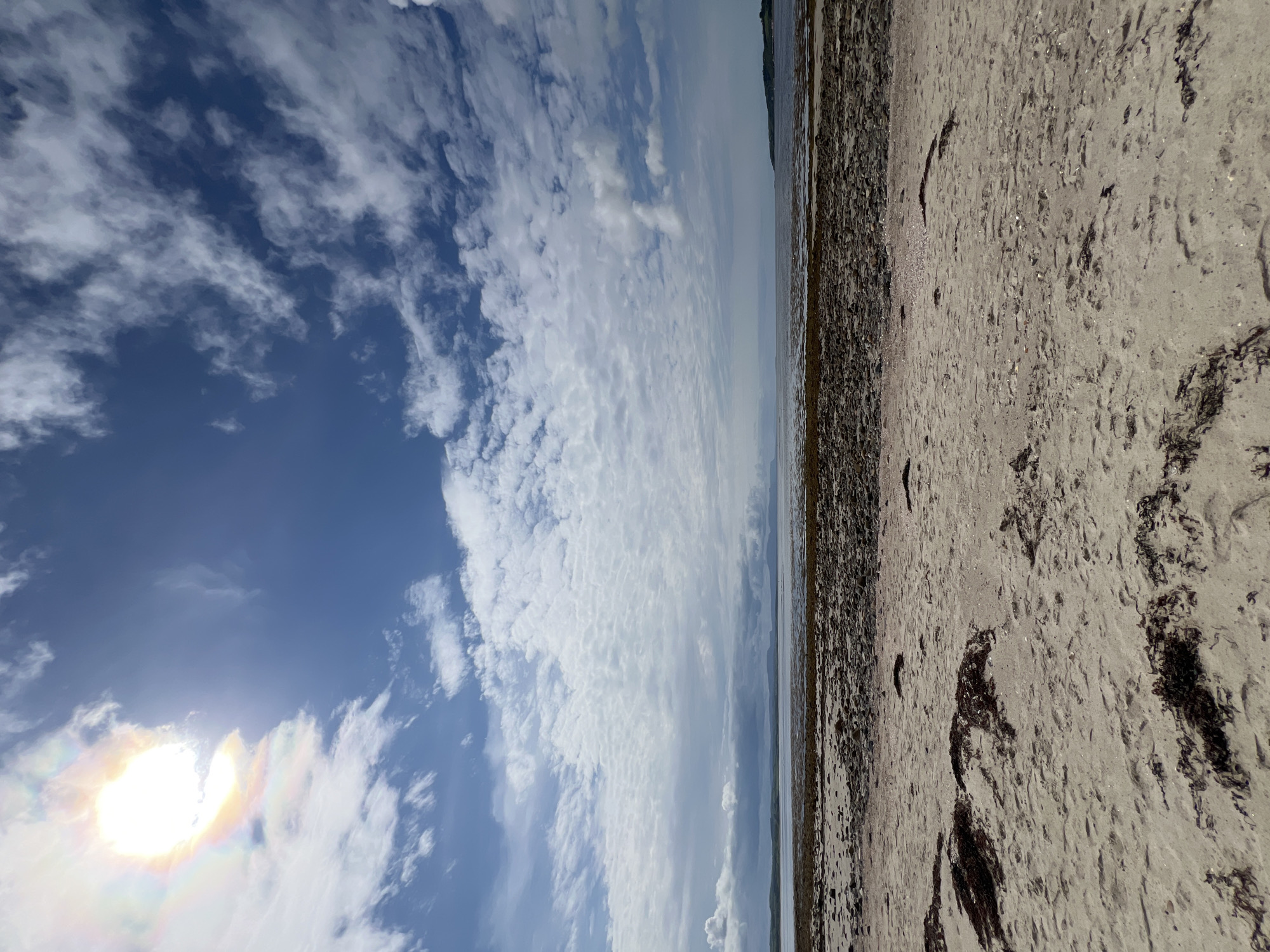 A low-angle, wide shot captures a tranquil beach scene under a bright, partly cloudy sky. The sun, partially obscured by a colorful halo of clouds, shines from the upper left corner of the image, casting a gentle glow. The sky transitions from a deep blue at the top to a lighter hue near the horizon, with scattered white clouds creating a textured, dynamic canopy.
The foreground is dominated by a sandy beach, littered with dark seaweed, shells, and small pebbles, suggesting a low tide. The sand appears damp and imprinted with ripples from receding water or wind. Beyond the sand, a band of wet, dark rocks and debris marks the water's edge.
The middle ground features a calm, muted body of water, possibly a bay or estuary, with a faint, hazy horizon line. Distant landmasses, appearing as dark, undulating shapes, are visible along the horizon, indicating the presence of hills or islands.
The environment suggests a coastal location in Ireland, likely near Mountcharles, known for its scenic bays and beaches. No people or animals are present in the frame, contributing to the serene and unpopulated atmosphere of the scene. The overall impression is one of natural beauty and peaceful solitude.