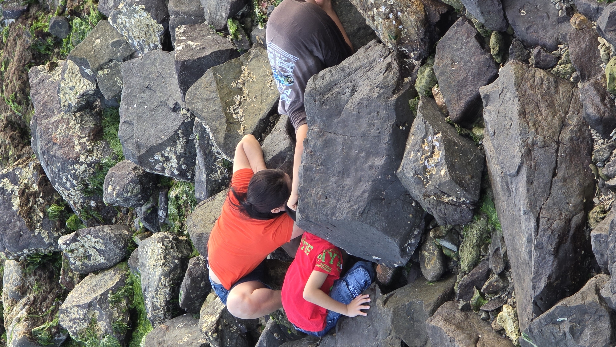 The image captures three individuals, likely an adult and two children, engaged in exploration among large, dark rocks on what appears to be a coastal area. Many of the rocks are covered with white barnacles and patches of vibrant green and dark brown algae or seaweed, characteristic of an intertidal zone in a marine environment like Bac Nha Trang Ward, Vietnam.
In the center, a person wearing a bright orange t-shirt and blue denim shorts is crouched, with their dark hair visible, seemingly looking or reaching into a crevice between rocks. To their right and slightly below, a child in a red t-shirt and blue jeans is also crouched low, their head obscured as they appear to be examining an opening beneath a large, dark rock. Visible text on the child's red t-shirt includes "NAUTICAL" and other faint words. Further back and higher in the frame, another individual, possibly an older child or adult, is partially obscured by a substantial rock, wearing a grey t-shirt and dark shorts. Their grey t-shirt features white text and a graphic, with "COOL WHEELS GEAR" discernible.
The scene conveys an active outdoor pursuit, possibly rock pooling or simply navigating the rugged terrain. The natural lighting suggests it is daytime, with soft illumination indicating either an overcast sky or the gentler light of morning or late afternoon. The overall impression is one of discovery and engagement with the natural environment.