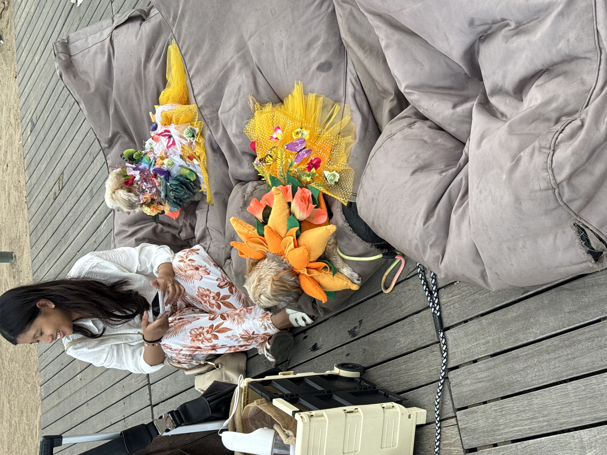 A woman is sitting on a wooden boardwalk next to a large grey cushion, looking at her cell phone and smiling. She is wearing a white shirt and floral pants. Beside her are two dogs wearing decorative floral arrangements on their heads. Next to her is a cream-colored suitcase and a stroller. The location is in Denpasar, Indonesia.