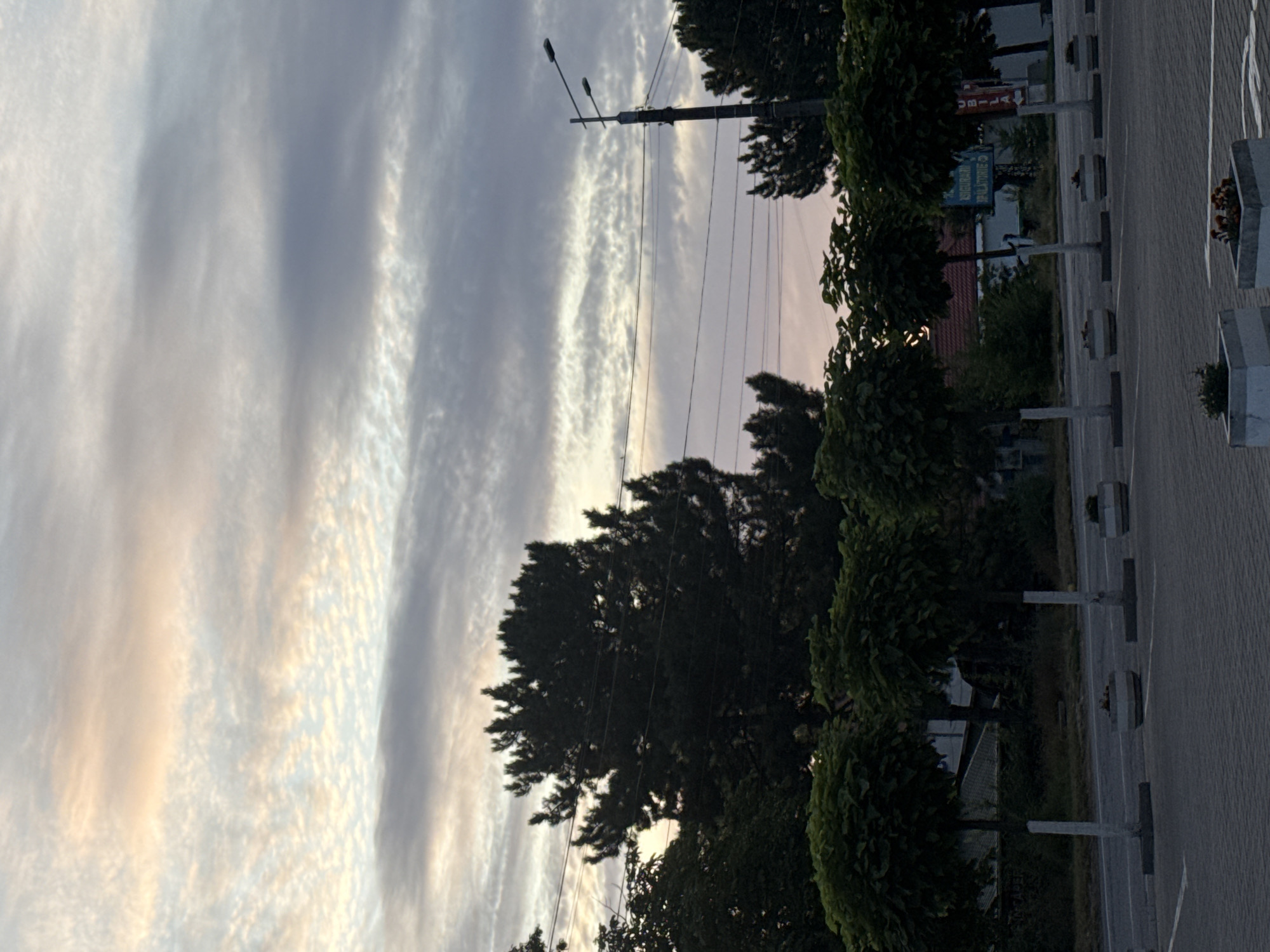 The image shows a row of manicured trees planted in concrete planters along a paved area that appears to be a parking lot. The trees have a spherical canopy and are supported by white-painted trunks. In the background, there are larger trees, a street light, power lines, and buildings. The sky is filled with streaky clouds tinged with pink and orange, indicating either sunrise or sunset. The scene is likely located in Ialoveni, Moldova, given the presence of Cyrillic lettering on a sign in the background.