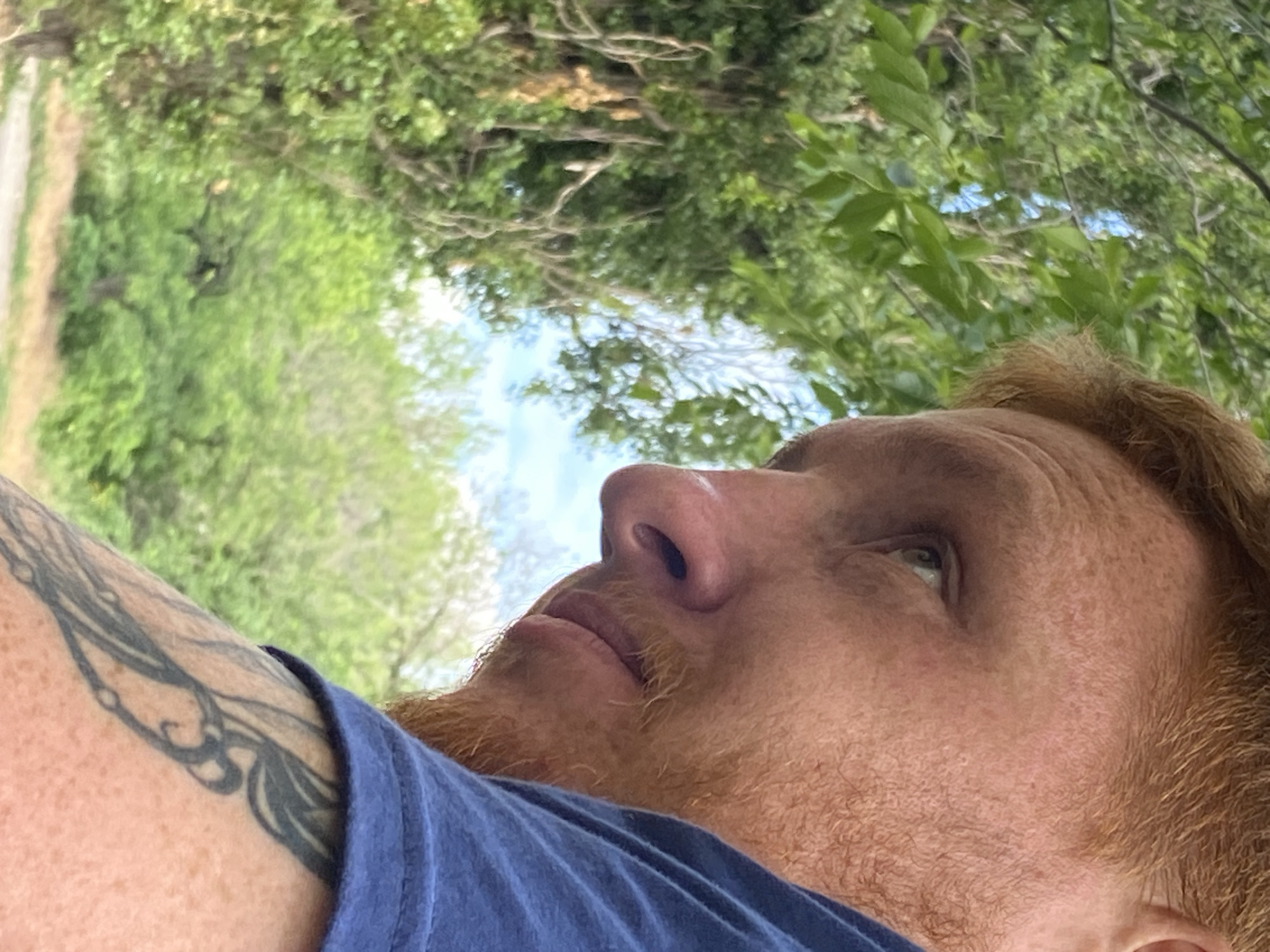 A man with red hair and a beard is pictured in a close-up shot, from the shoulders up. He is wearing a blue t-shirt and has a tattoo on his left arm. The background consists of lush green foliage, suggesting an outdoor setting in a park or wooded area. The lighting indicates it is daytime. The man's gaze is directed off-camera to the left.