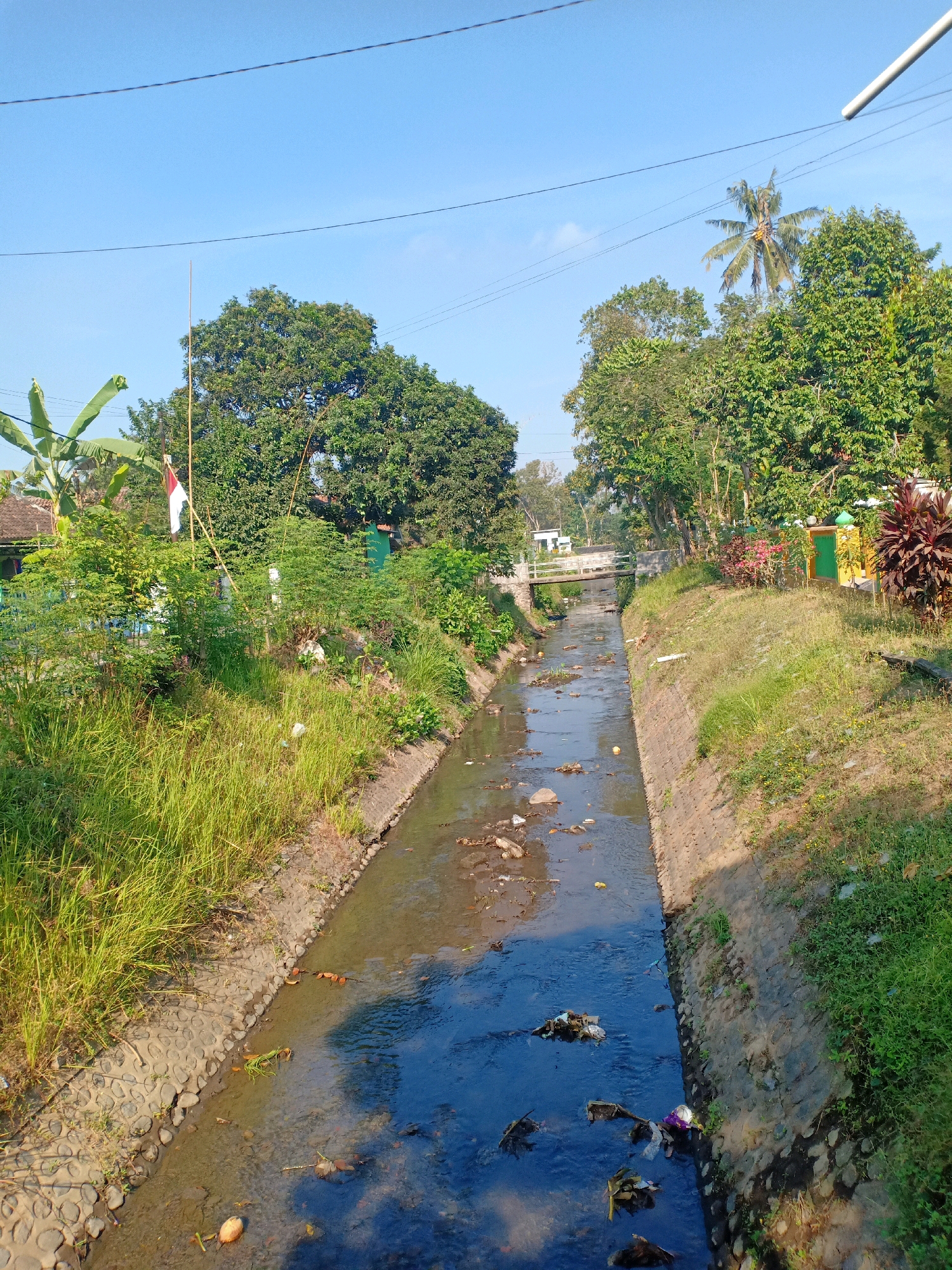 The image depicts a canal in the village of Kedungrejo, Indonesia, under a clear blue sky. The canal, lined with stone walls and overgrown with grass and vegetation on its banks, flows through a rural area. Debris, including plastic waste and fallen leaves, is visible floating in the murky water. On the left bank, a banana tree and other lush green foliage are present, with a flag pole flying a red and white Indonesian flag. Further in the background on the left, a building with a red roof is partially visible. The right bank features more grass and some ornamental plants, with a yellow and green fence line visible in the distance. A small bridge crosses the canal further upstream. The scene suggests a warm, sunny day.