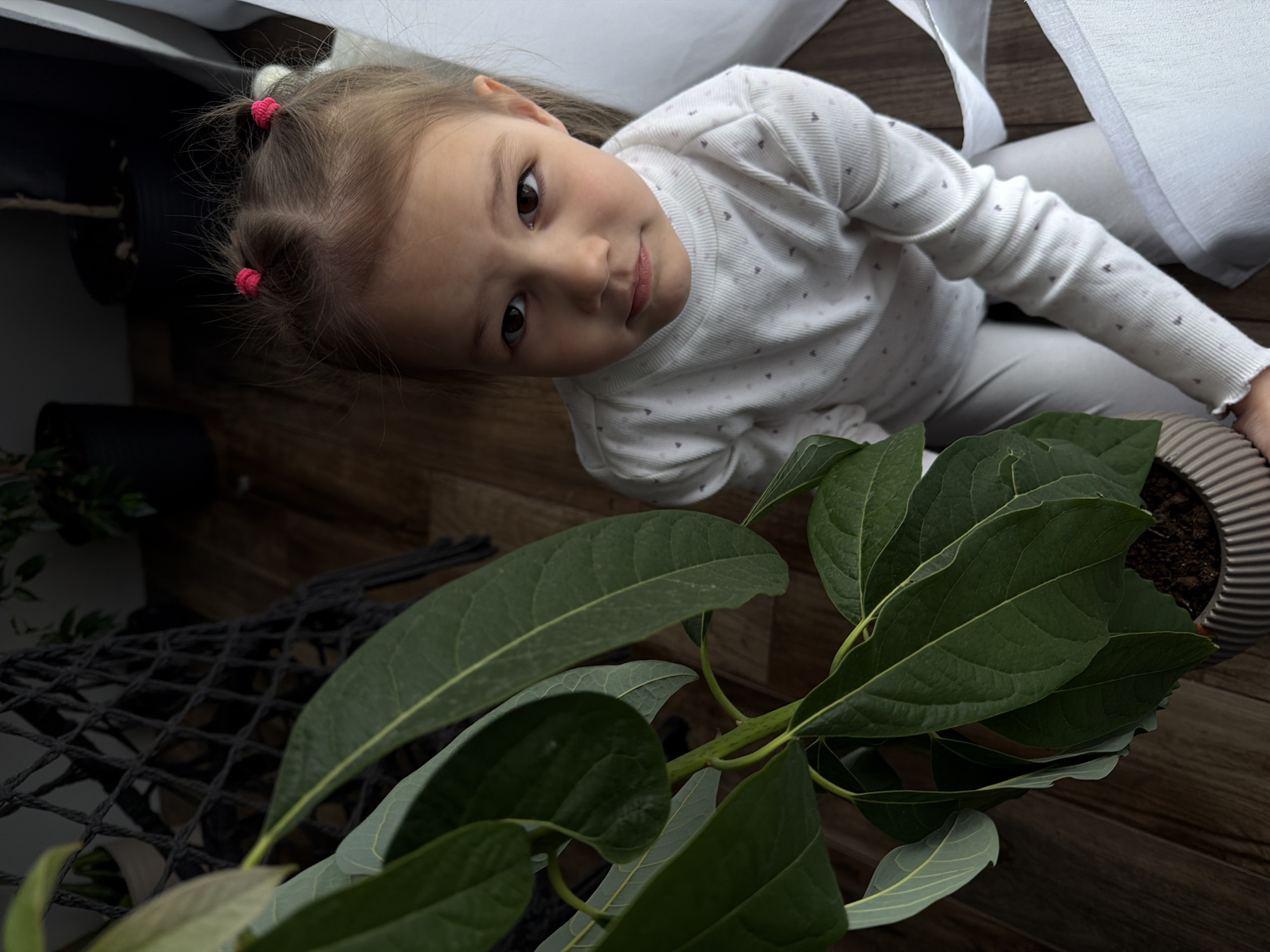 A young girl with light brown hair pulled back in pigtails secured with pink elastics is looking up at the camera. She is wearing a long-sleeved white shirt with a pattern of small hearts and grey pants. She is positioned near a leafy green plant in a patterned pot. A black macrame plant hanger is partially visible in the lower left corner. White curtains hang nearby. The scene is shot from a high-angle perspective, set on a wooden floor. There's no information to confirm it's in the city of Chaikovsky, Russia.