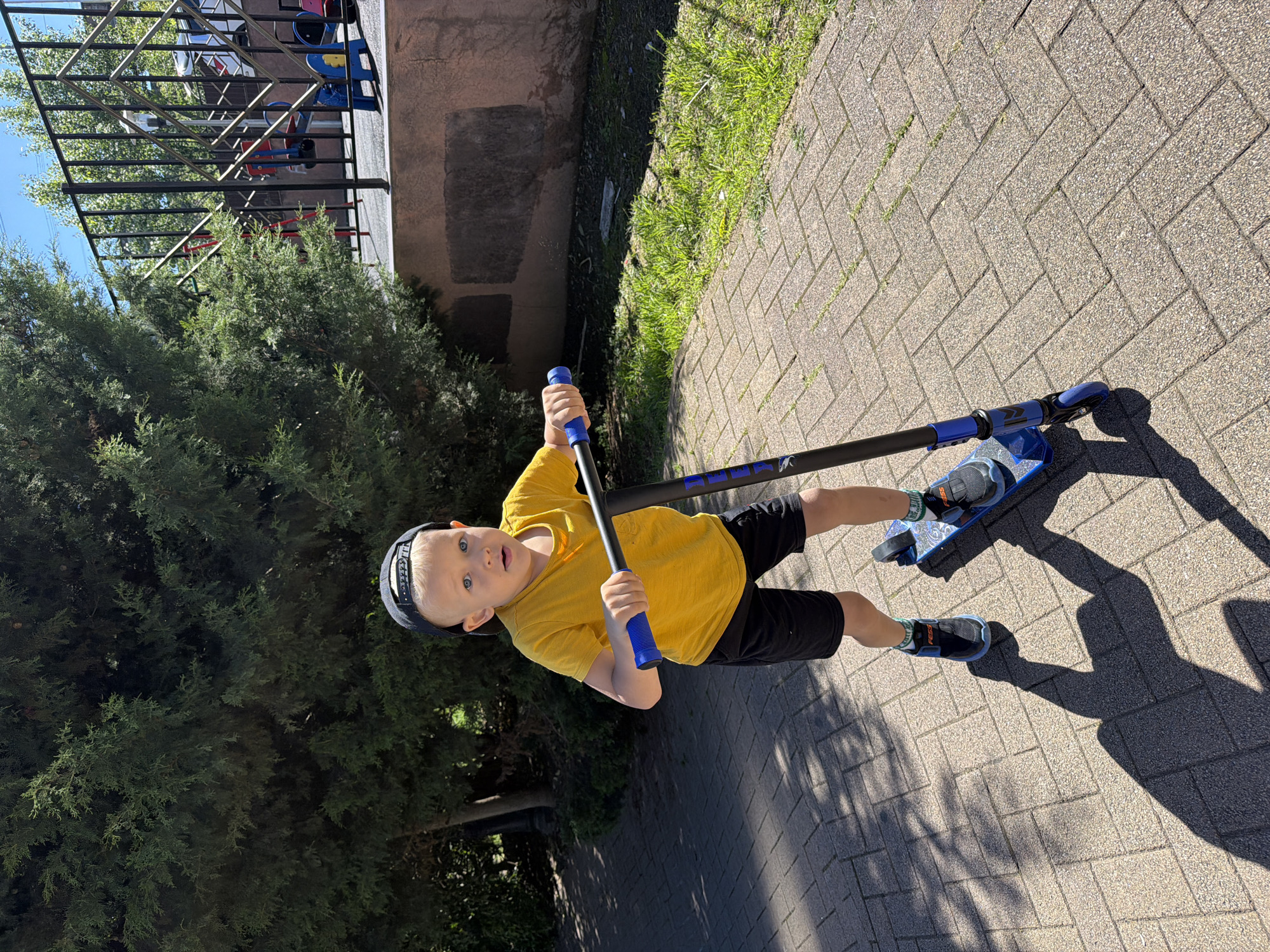 A young boy is pictured outdoors, standing with a blue and black scooter on a paved pathway under bright sunshine. The boy, with fair hair and blue eyes, wears a black baseball cap, a yellow t-shirt, black shorts, and sneakers. The text "FESSS" is visible on his socks. He is holding the scooter's handlebars and looking directly at the camera with a curious, slightly surprised expression.
The scooter features a blue deck, three wheels, and a black handlebar pole with a blue graphic that resembles an 'M' symbol. The pathway beneath him is constructed from light-colored interlocking pavers. To the left, dense green evergreen bushes line the path, while a strip of green grass borders it on the right.
In the background, behind a dark metal fence, colorful children's playground equipment (in blue, red, and yellow) is partially visible, suggesting a play area. A light brown building wall can also be seen further back. Strong, distinct shadows, including those of the boy and his scooter, are cast on the path to the right, indicating bright sunlight characteristic of either morning or late afternoon. The overall scene conveys a cheerful, active outdoor moment in what appears to be a park or residential area in Sochi, Russia.