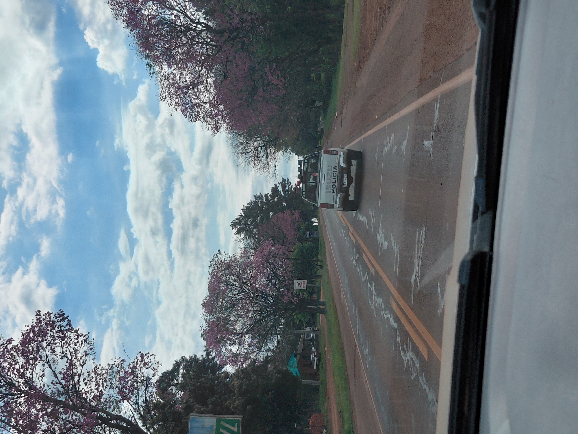 An exterior, eye-level, vertical shot captures a wet asphalt road with yellow lane dividers and puddles reflecting the sky, viewed from inside a vehicle. A white police truck with a red and blue flashing light on top is in the foreground on the right, traveling away from the viewer. The truck has "POLICIA" written on its tailgate. Trees with delicate pink blossoms line both sides of the road. In the background on the left, there is a small building with a teal roof and several parked cars. Signs are visible along the side of the road, including one with green lettering. The sky is bright blue with scattered white clouds. This scene is likely from Capitán Miranda, Paraguay, given the presence of Brazilian police markings on the truck, which is common in border regions.