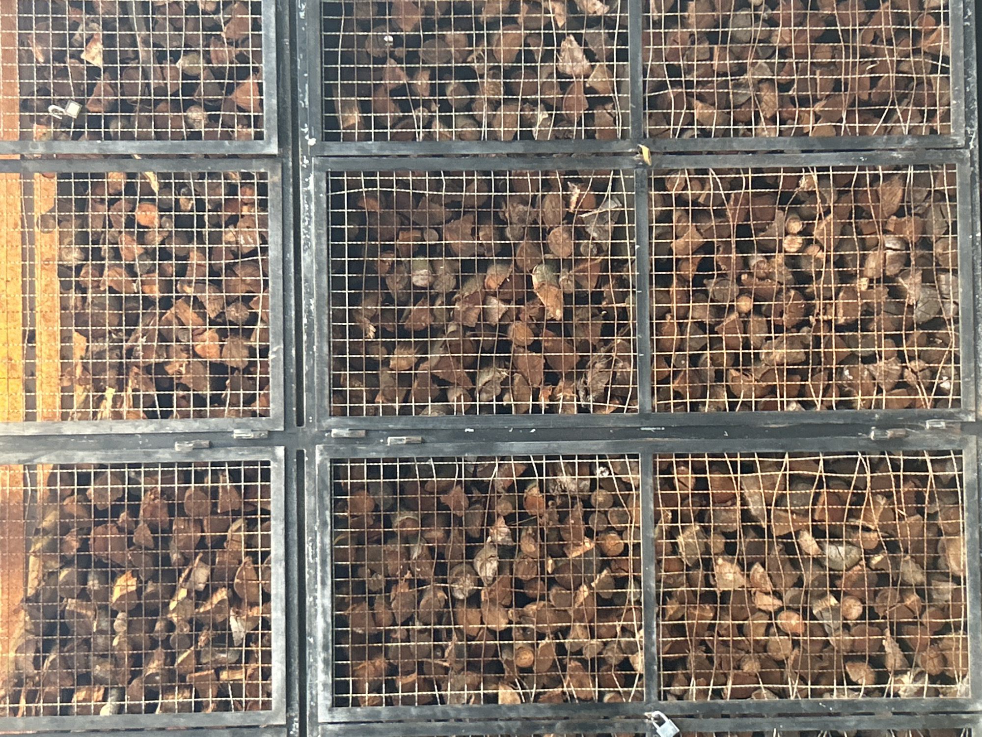 The image shows a close-up of nine wire mesh containers filled with brown, dried wood pieces. The containers are arranged in a 3x3 grid and appear to be part of a larger storage system. The frames of the containers are dark gray, and the wire mesh is a light tan color. The wood inside is stacked densely within each container. The background is indistinct. Based on the metadata, this is located in Câmara de Lobos, Portugal.