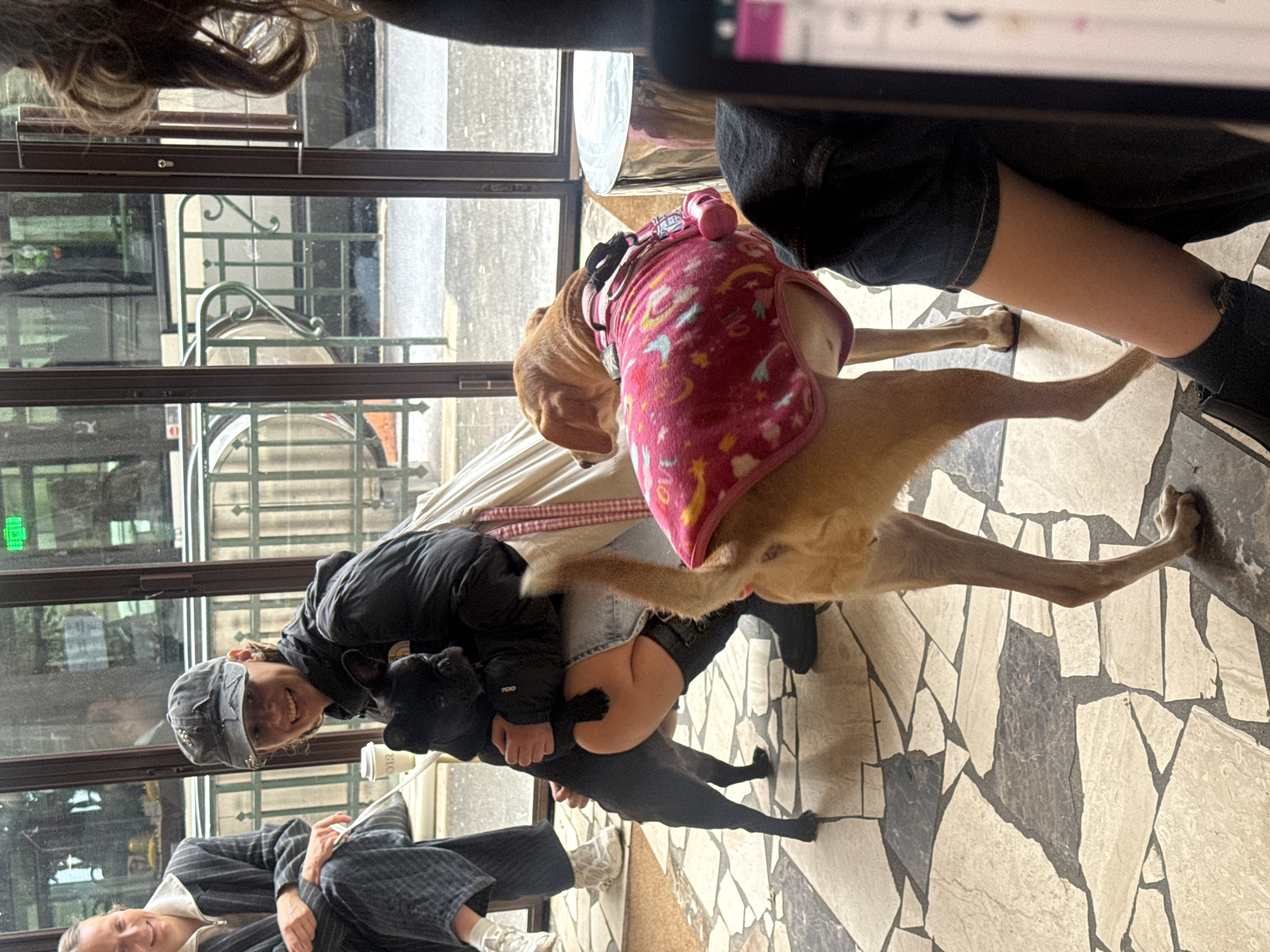 A photograph shows an indoor scene with multiple people and two dogs.
A woman is holding a black dog. To her right, a tan dog wearing a pink jacket stands on a mosaic floor. The floor is light-colored with dark accents. Windows are in the background, and a Parisian street scene is visible outside, suggesting the location is Paris, France.
A second woman is visible in the foreground. She wears a grey suit and white sneakers.
