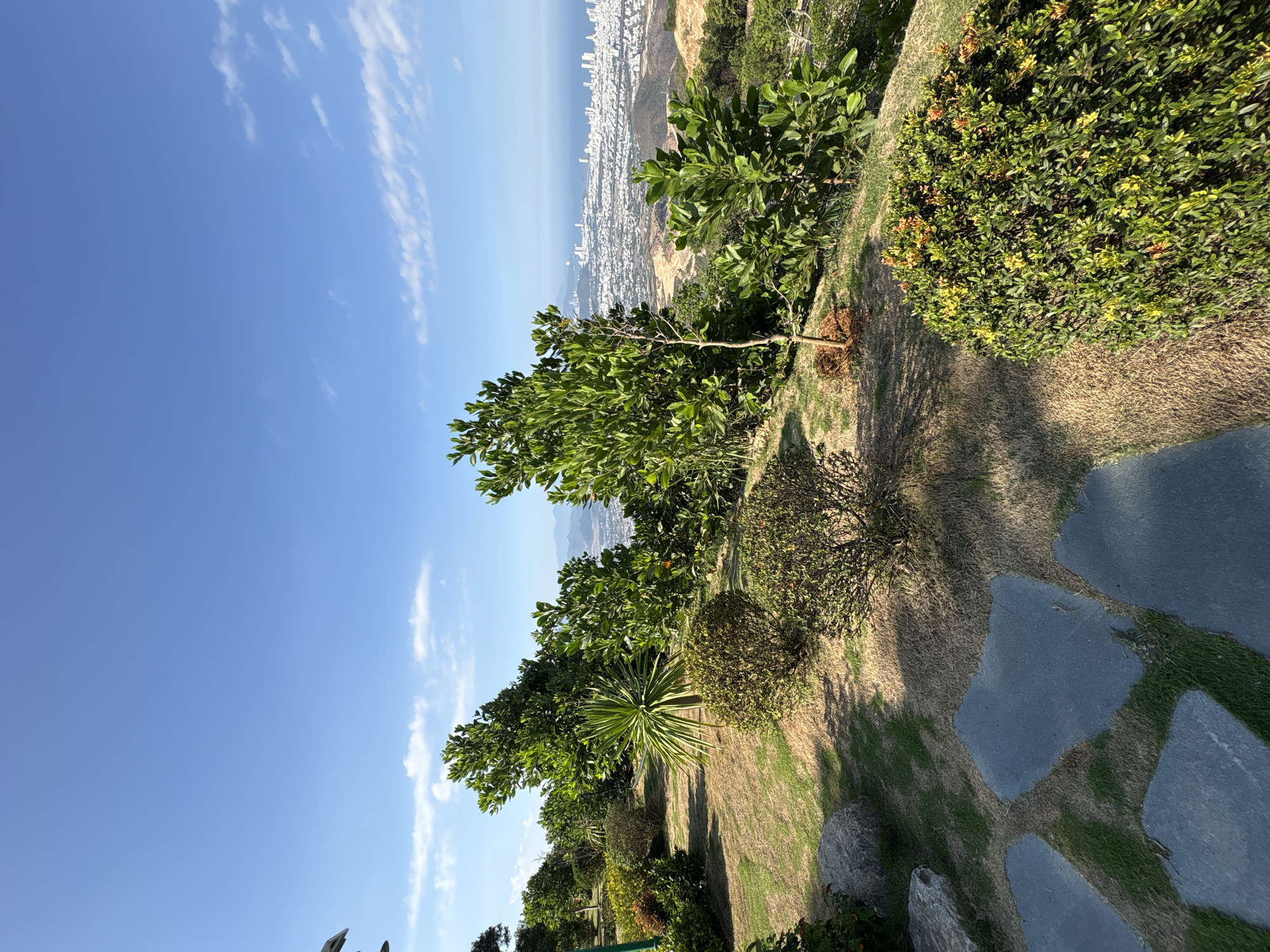 The image depicts a landscape on the edge of a city, possibly taken in or near Diên Khánh, Vietnam, given the urban skyline visible in the distance. The foreground features vegetation, including various trees and bushes. A notable tree with broad green leaves is positioned centrally. There are also patches of grass and stone pathways or steps. The sky is blue with some scattered clouds. The overall setting seems to be a park or landscaped area overlooking the city.